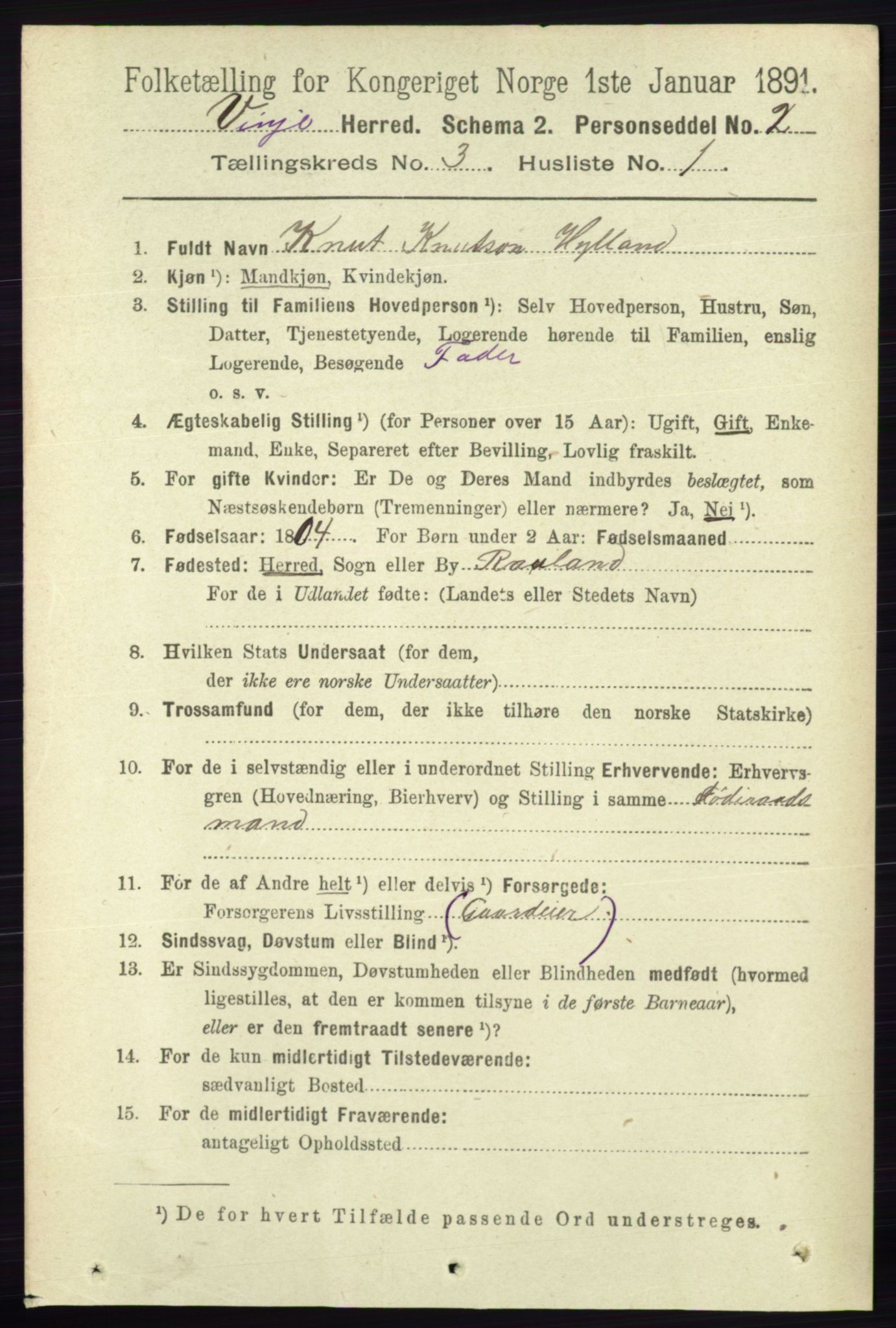 RA, 1891 census for 0834 Vinje, 1891, p. 645