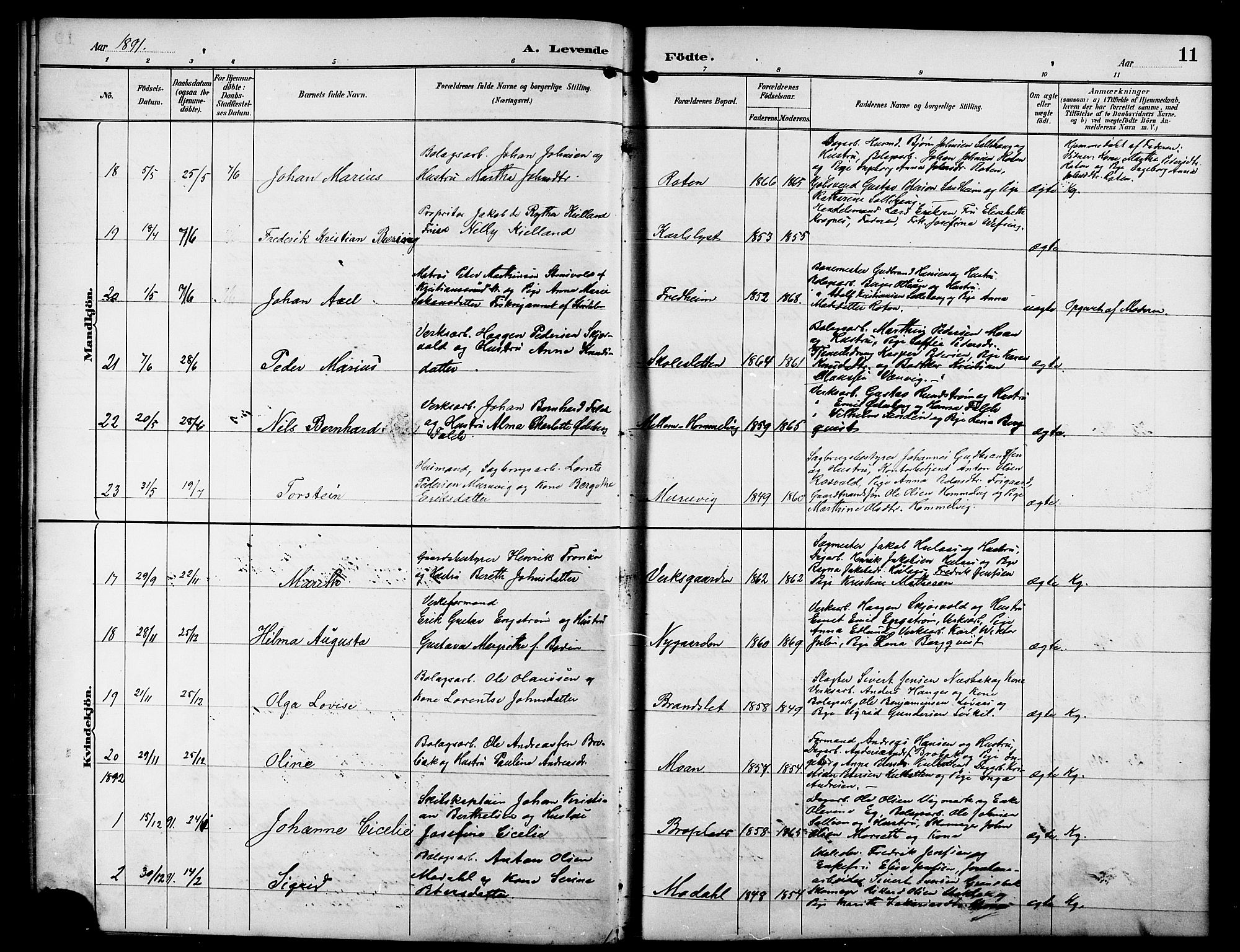 Ministerialprotokoller, klokkerbøker og fødselsregistre - Sør-Trøndelag, SAT/A-1456/617/L0431: Parish register (copy) no. 617C01, 1889-1910, p. 11