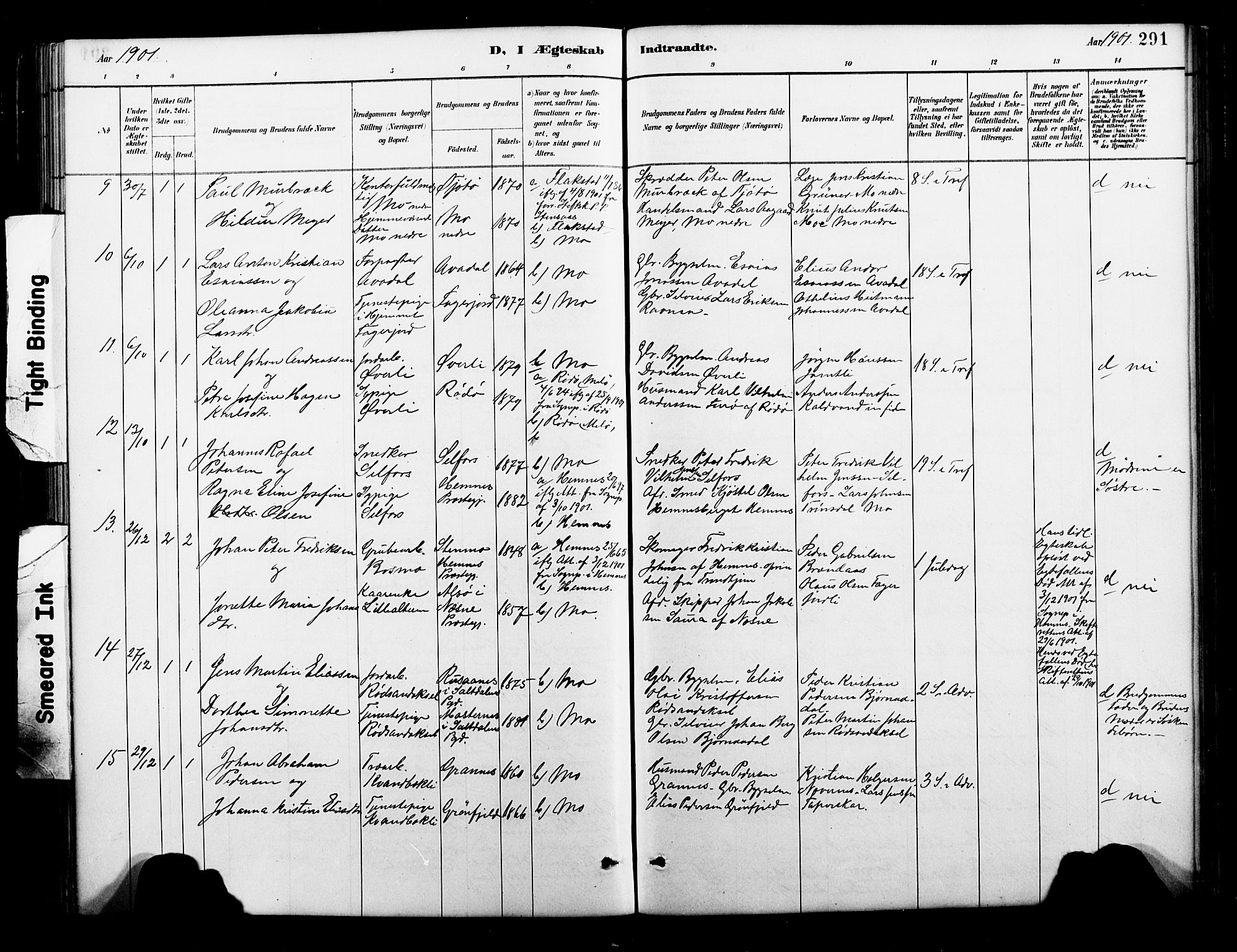 Ministerialprotokoller, klokkerbøker og fødselsregistre - Nordland, AV/SAT-A-1459/827/L0421: Parish register (copy) no. 827C10, 1887-1906, p. 291