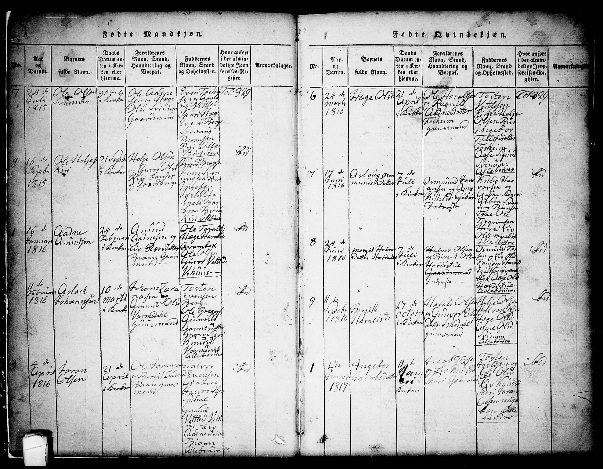 Seljord kirkebøker, SAKO/A-20/G/Gc/L0001: Parish register (copy) no. III 1, 1815-1849, p. 3