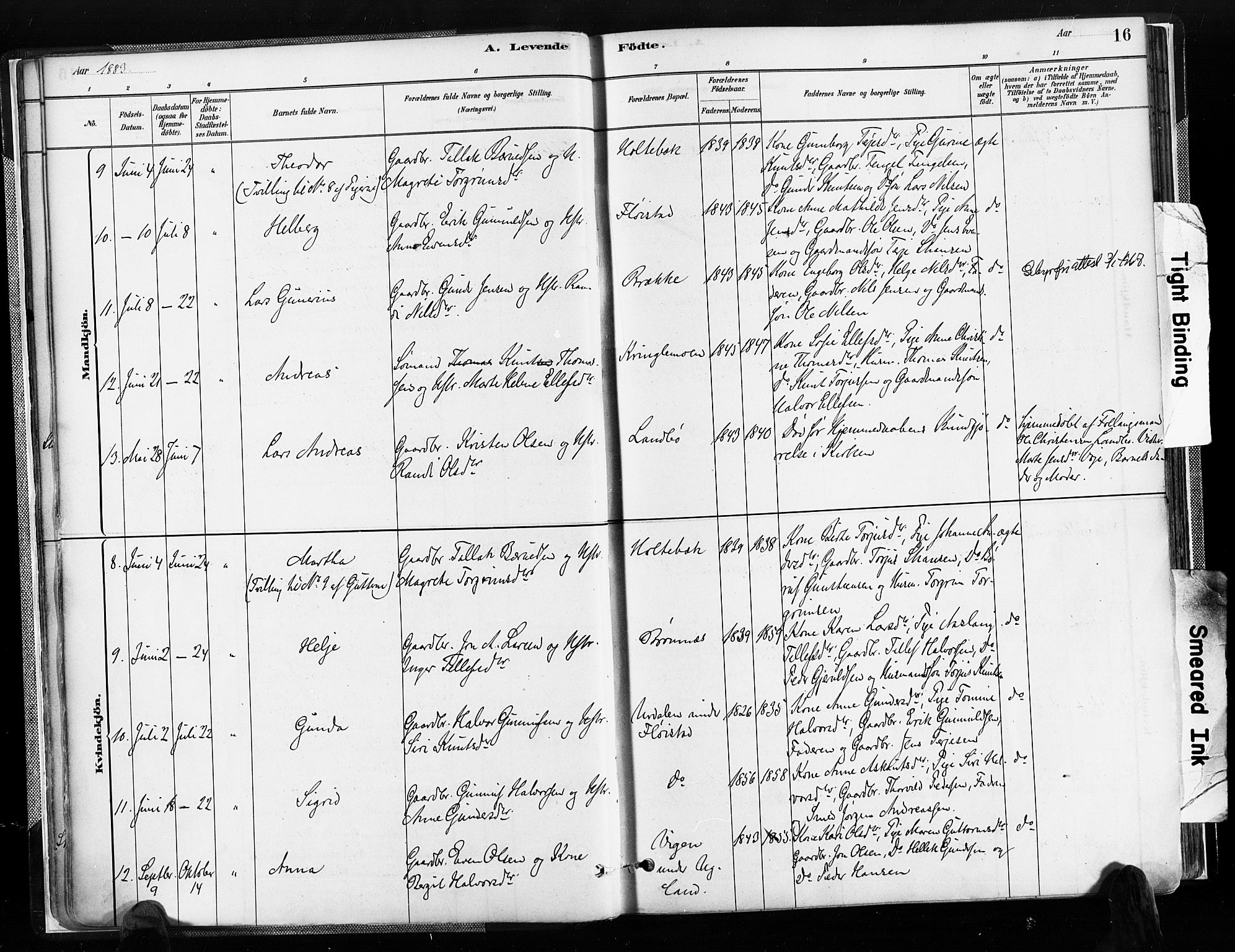 Austre Moland sokneprestkontor, SAK/1111-0001/F/Fa/Faa/L0010: Parish register (official) no. A 10, 1880-1904, p. 16
