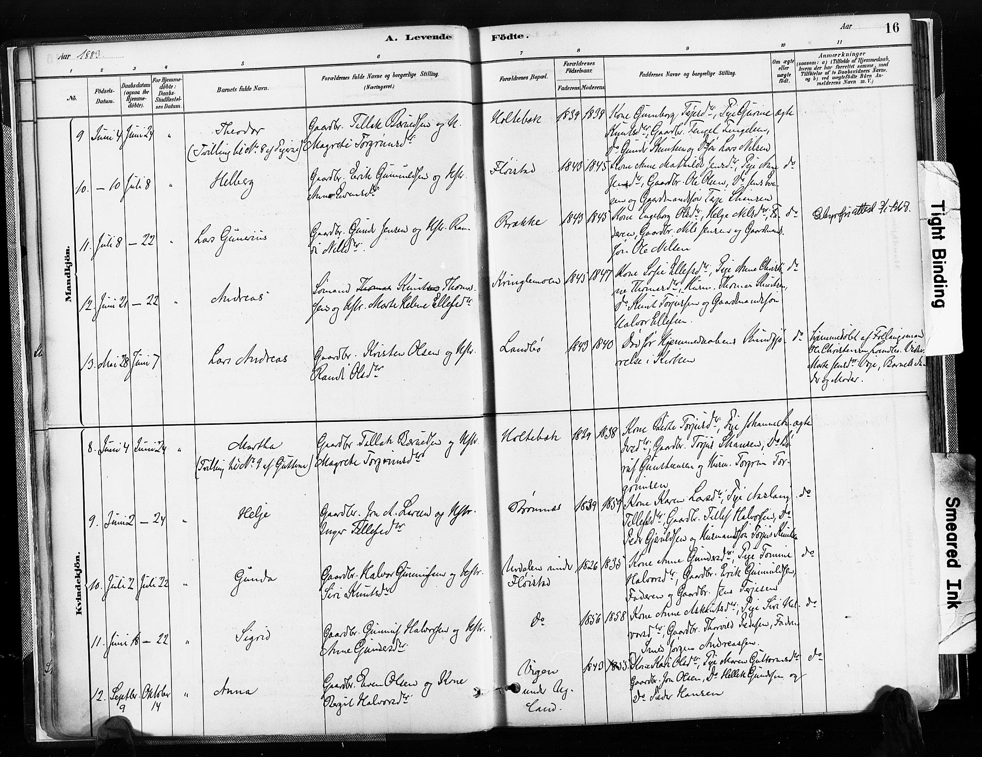 Austre Moland sokneprestkontor, AV/SAK-1111-0001/F/Fa/Faa/L0010: Parish register (official) no. A 10, 1880-1904, p. 16