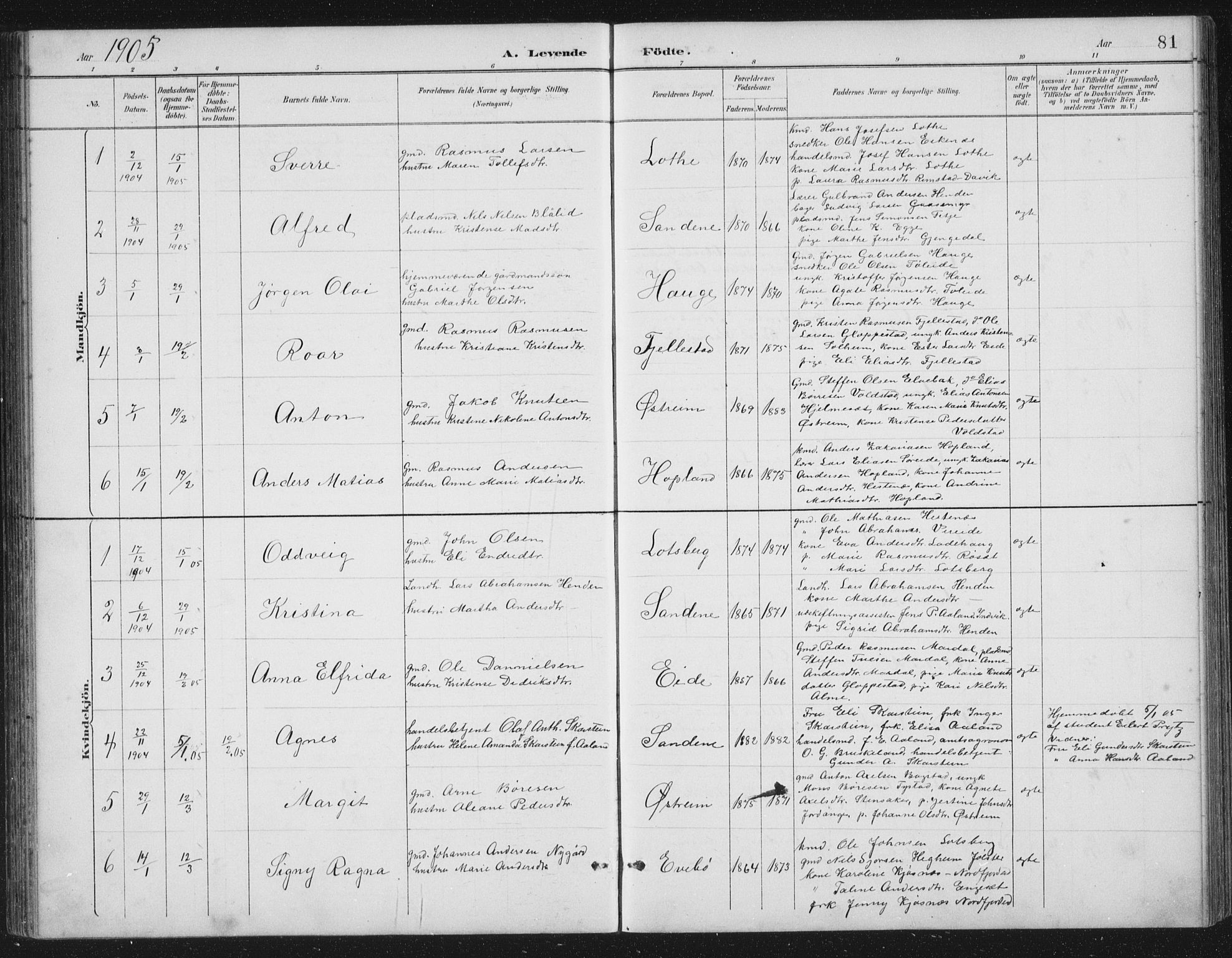 Gloppen sokneprestembete, SAB/A-80101/H/Hab/Habb/L0002: Parish register (copy) no. B 2, 1889-1909, p. 81