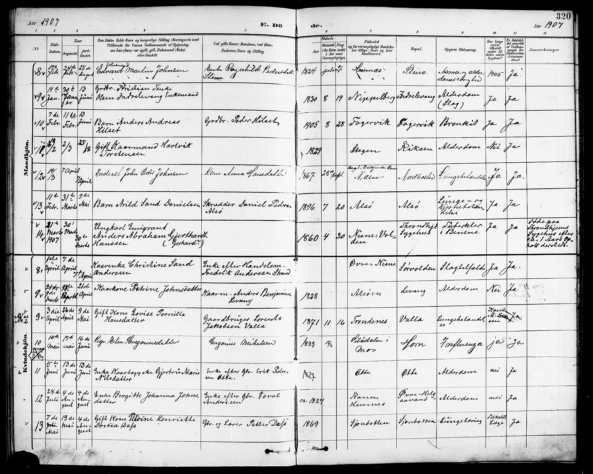 Ministerialprotokoller, klokkerbøker og fødselsregistre - Nordland, AV/SAT-A-1459/838/L0559: Parish register (copy) no. 838C06, 1893-1910, p. 320