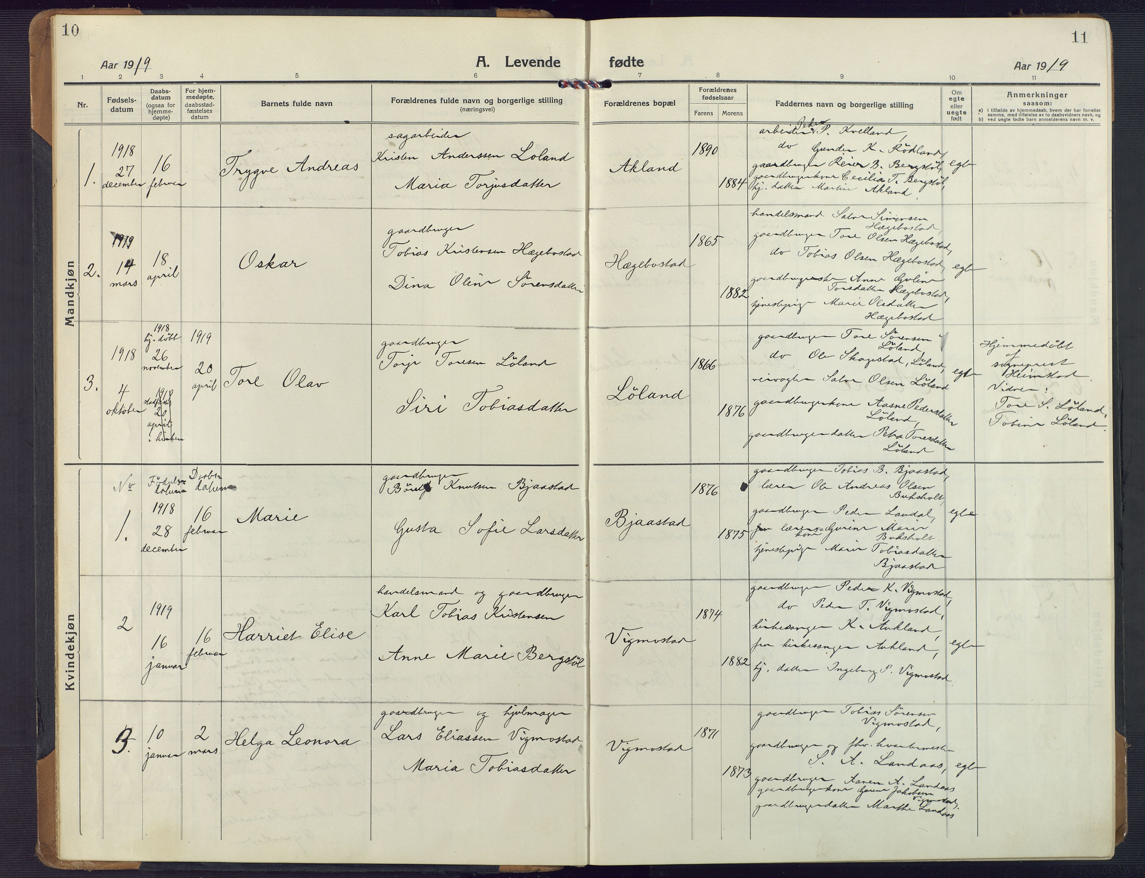 Nord-Audnedal sokneprestkontor, SAK/1111-0032/F/Fa/Fab/L0005: Parish register (official) no. A 5, 1918-1925, p. 10-11
