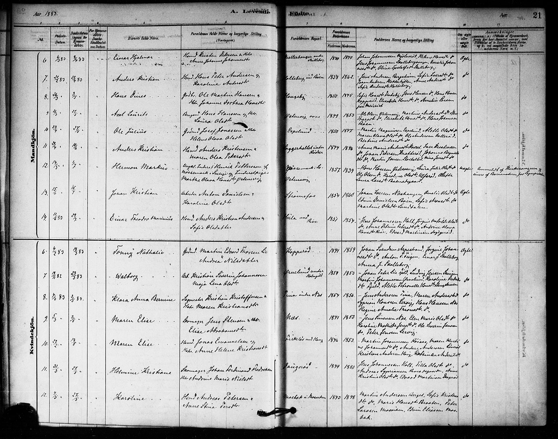 Aremark prestekontor Kirkebøker, SAO/A-10899/F/Fa/L0005: Parish register (official) no. I 5, 1878-1897, p. 21