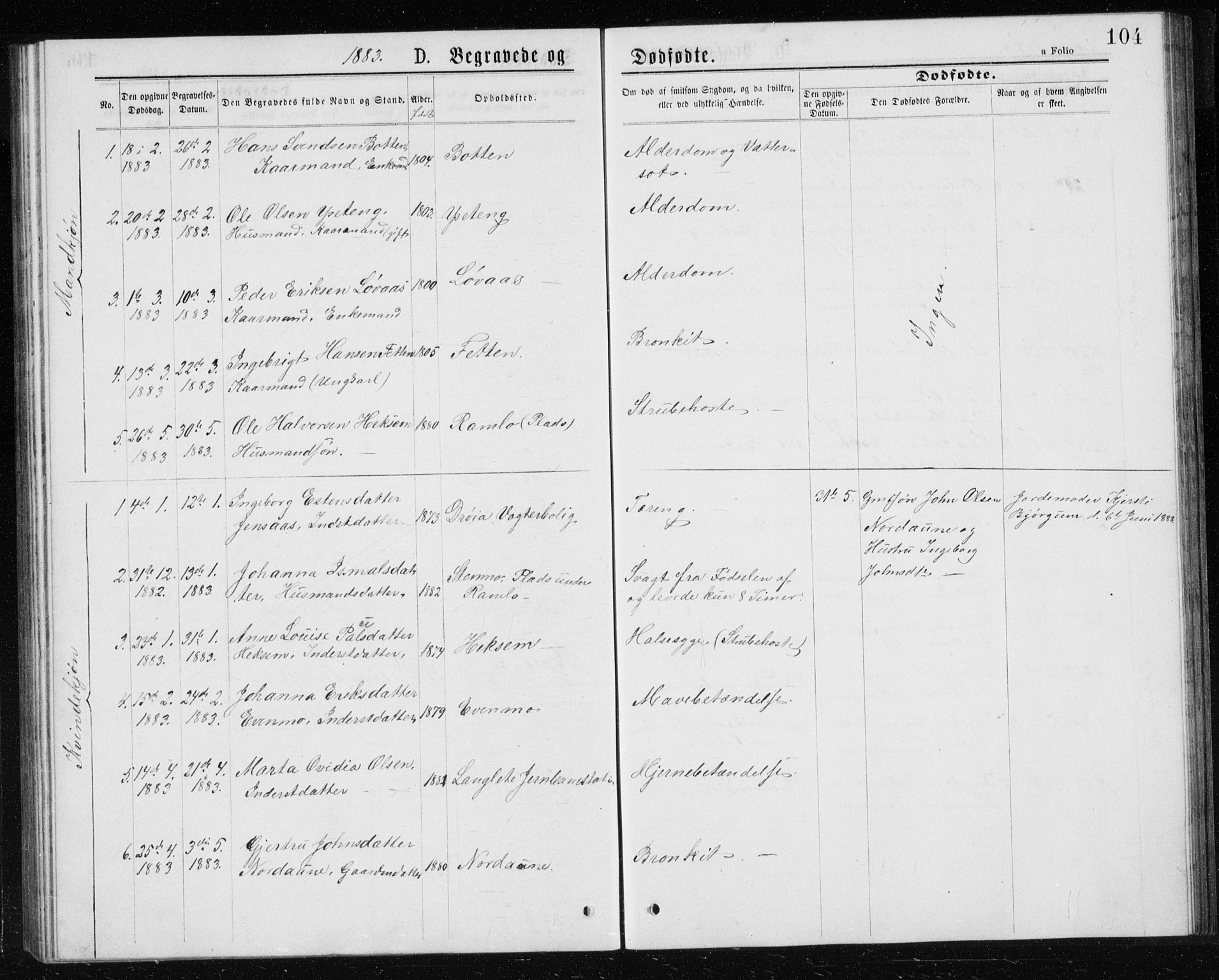 Ministerialprotokoller, klokkerbøker og fødselsregistre - Sør-Trøndelag, SAT/A-1456/685/L0977: Parish register (copy) no. 685C02, 1879-1890, p. 104