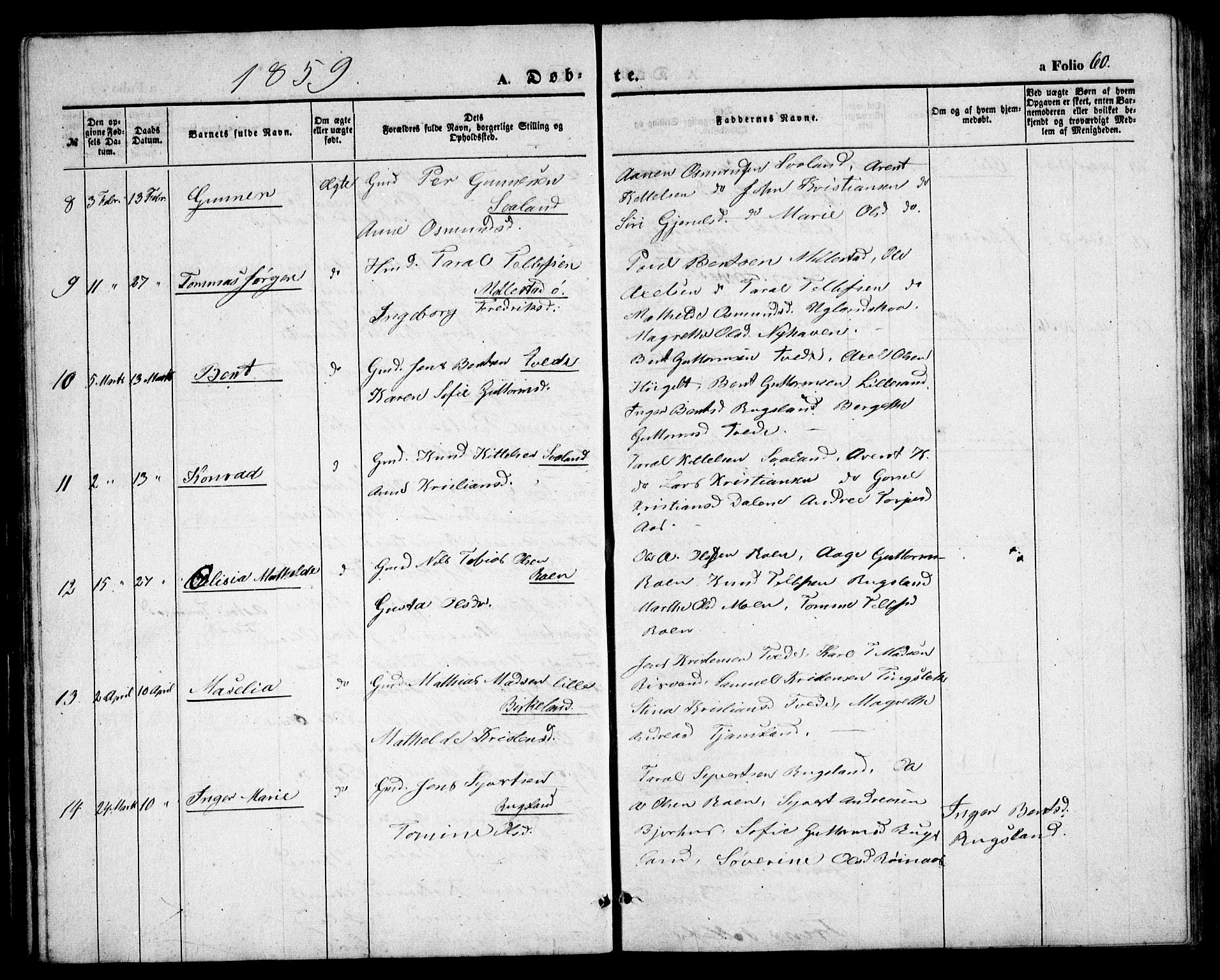 Birkenes sokneprestkontor, AV/SAK-1111-0004/F/Fb/L0002: Parish register (copy) no. B 2, 1849-1876, p. 60