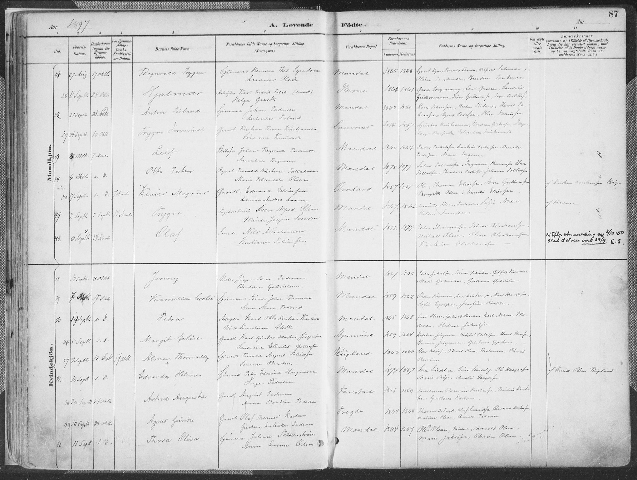 Mandal sokneprestkontor, AV/SAK-1111-0030/F/Fa/Faa/L0018: Parish register (official) no. A 18, 1890-1905, p. 87