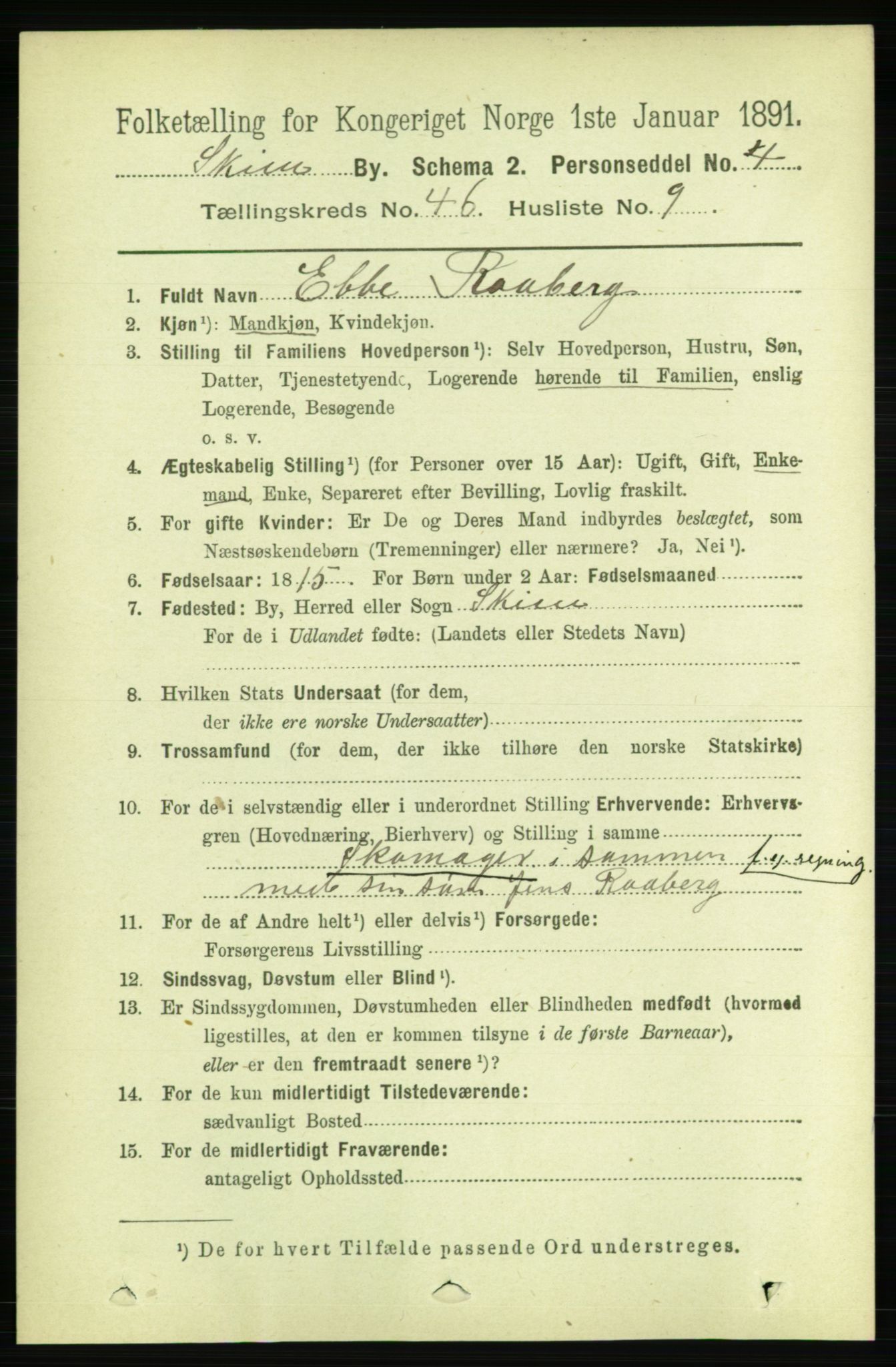 RA, 1891 census for 0806 Skien, 1891, p. 9199