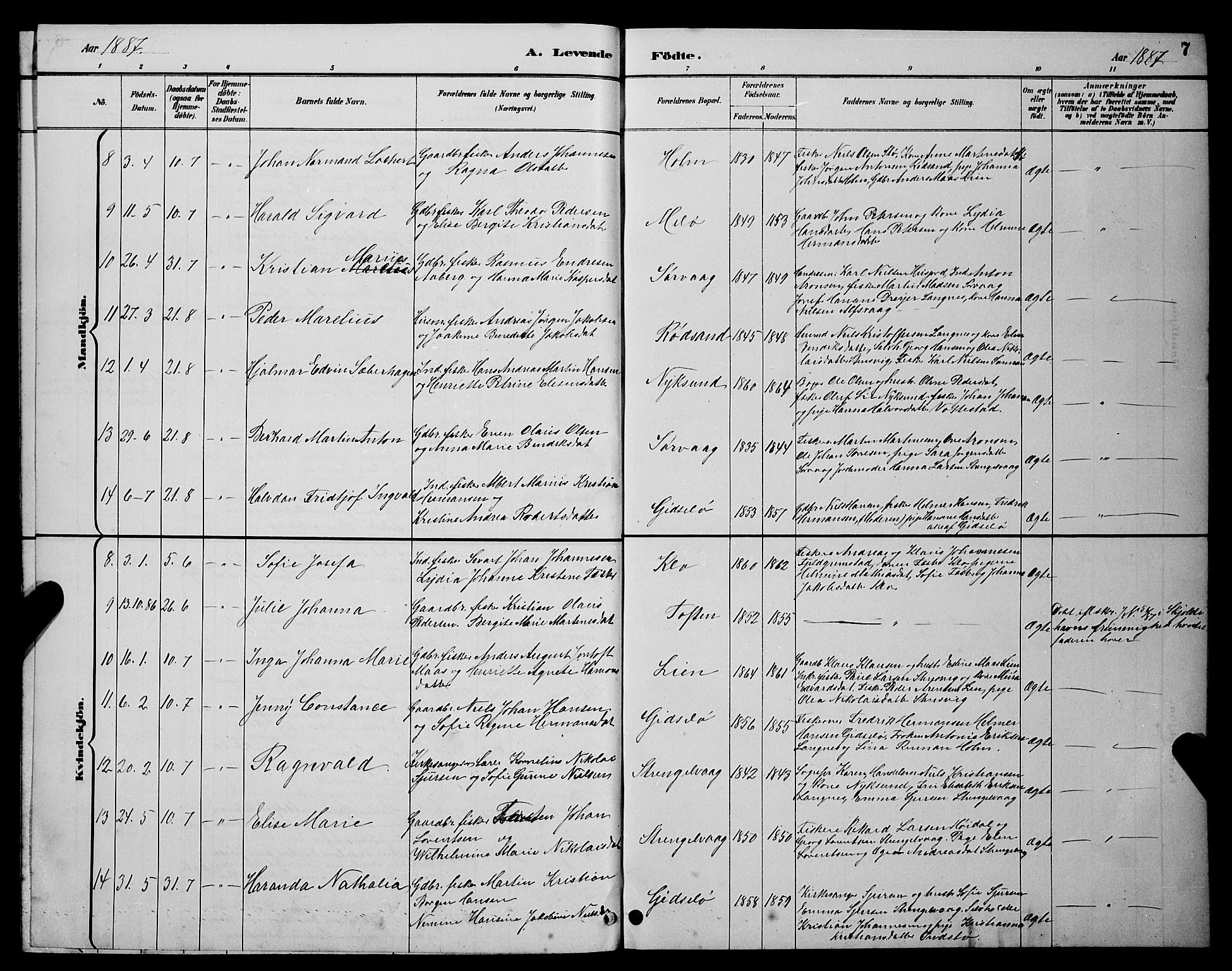 Ministerialprotokoller, klokkerbøker og fødselsregistre - Nordland, AV/SAT-A-1459/894/L1360: Parish register (copy) no. 894C03, 1885-1888, p. 7