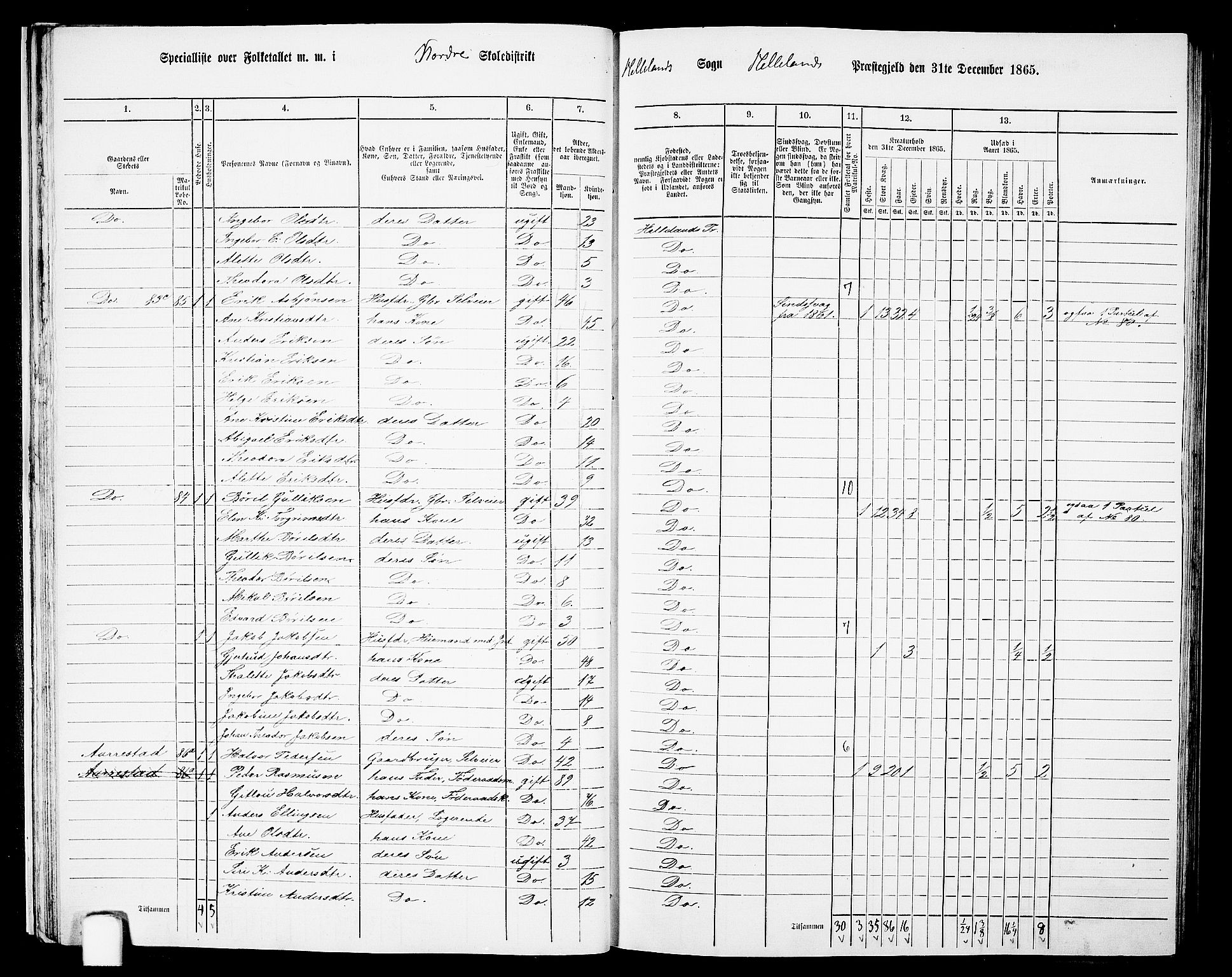 RA, 1865 census for Helleland, 1865, p. 29