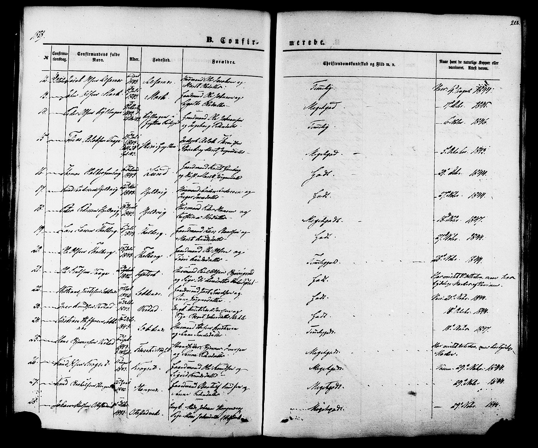 Ministerialprotokoller, klokkerbøker og fødselsregistre - Møre og Romsdal, AV/SAT-A-1454/547/L0603: Parish register (official) no. 547A05, 1846-1877, p. 222