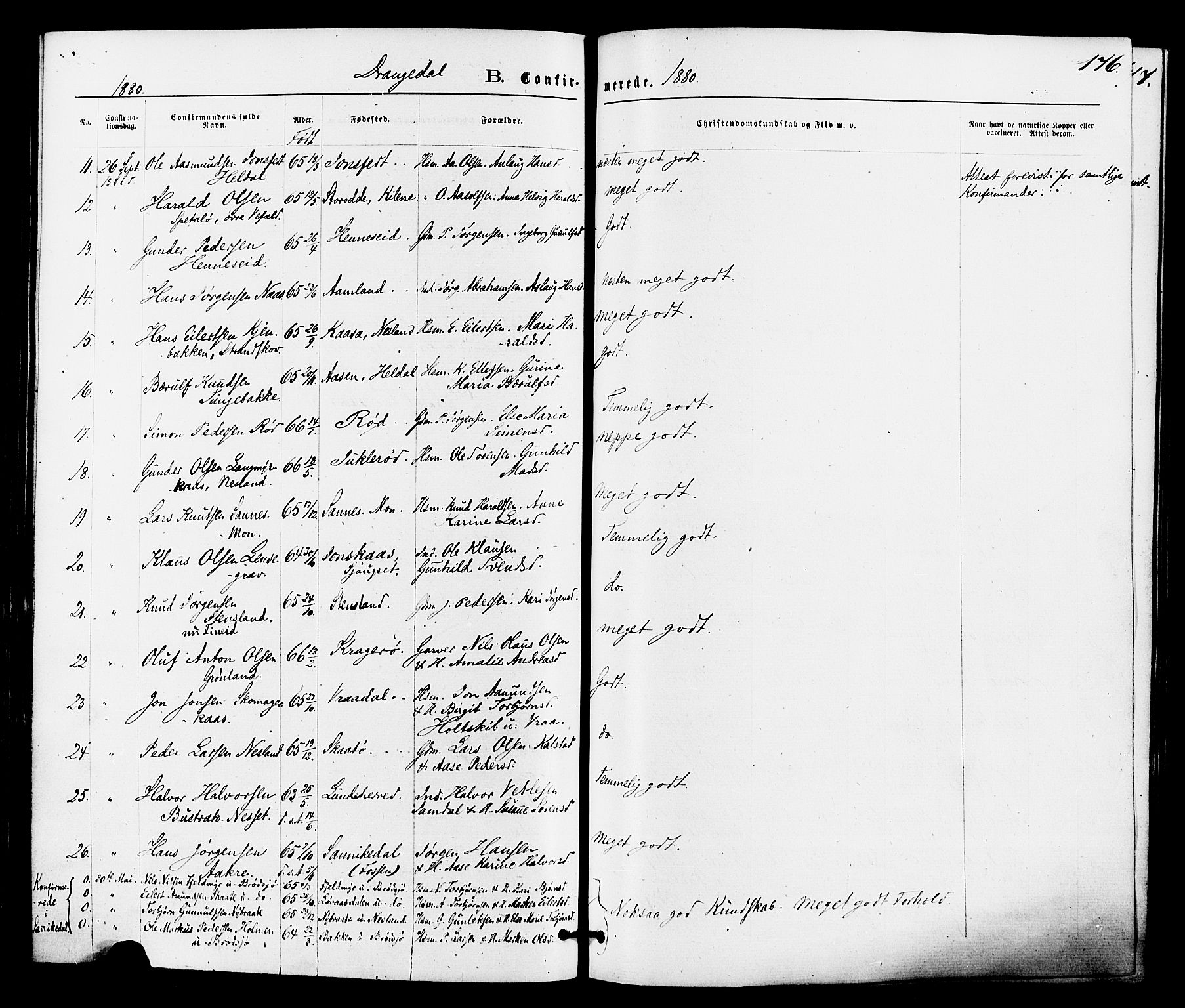 Drangedal kirkebøker, SAKO/A-258/F/Fa/L0009: Parish register (official) no. 9 /1, 1872-1884, p. 176