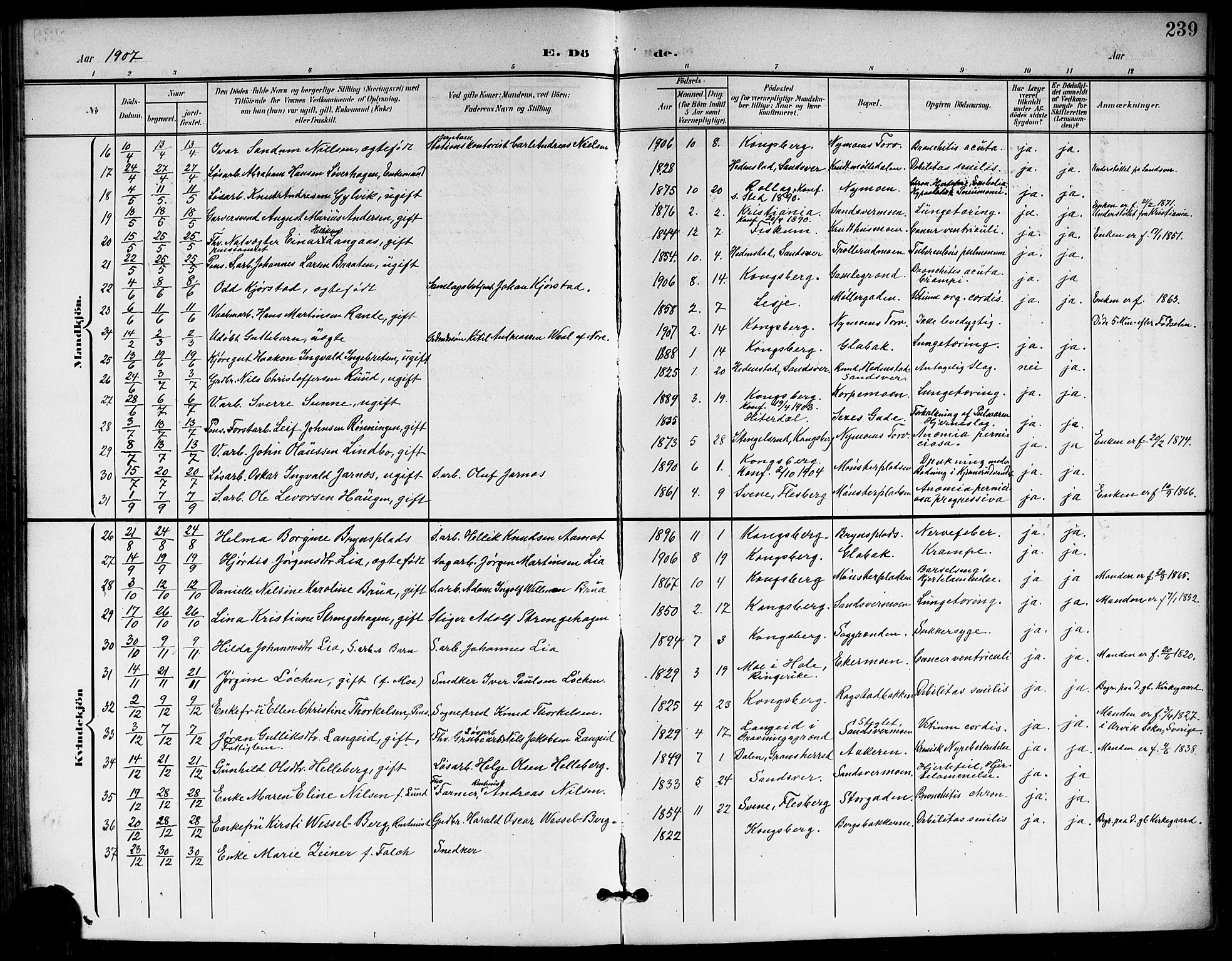 Kongsberg kirkebøker, AV/SAKO-A-22/G/Ga/L0007: Parish register (copy) no. 7, 1901-1915, p. 239