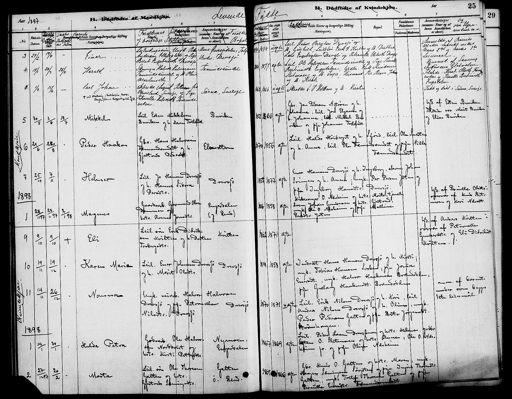 Rendalen prestekontor, SAH/PREST-054/H/Ha/Haa/L0007: Parish register (official) no. 7, 1878-1898, p. 25