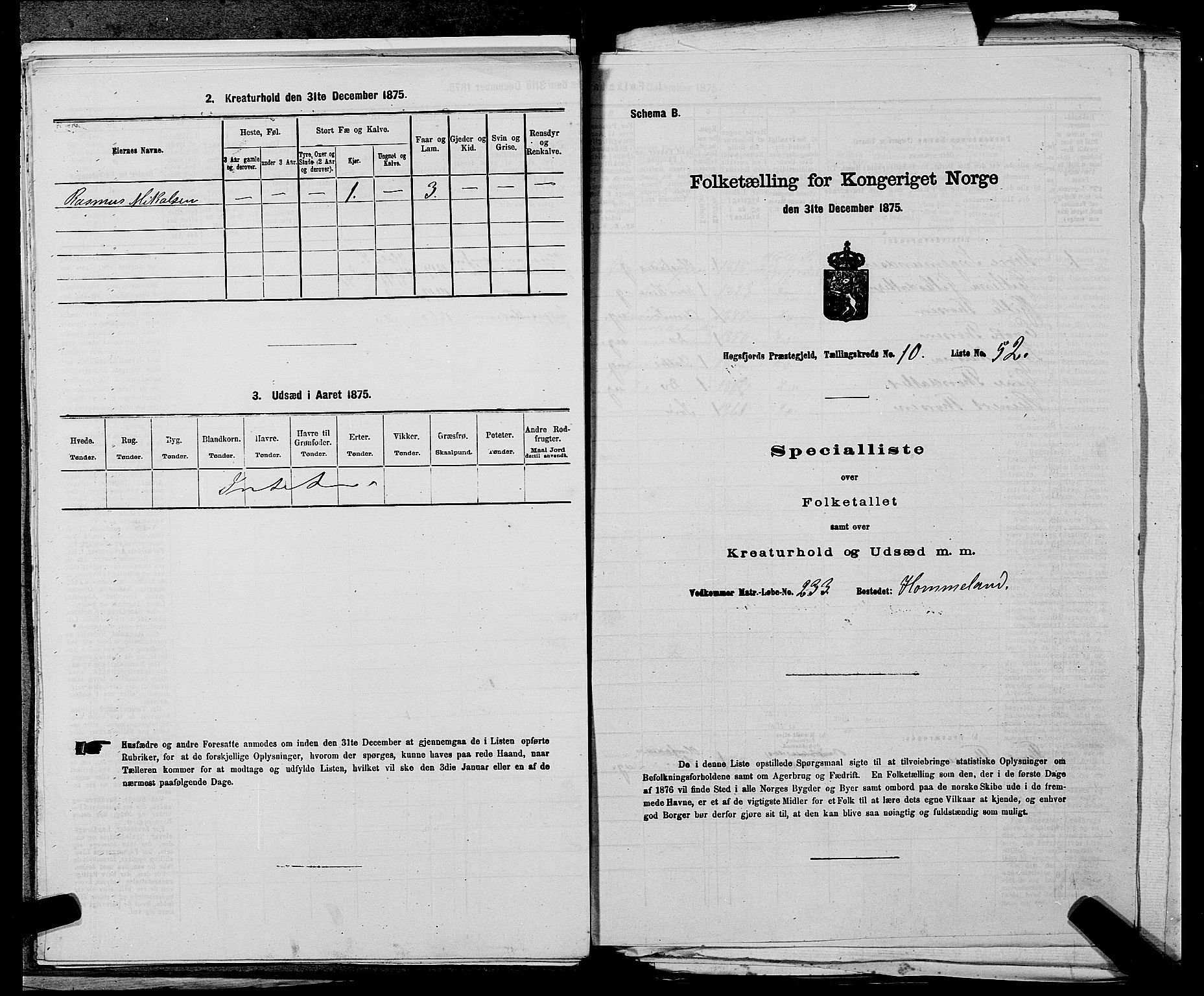 SAST, 1875 census for 1128P Høgsfjord, 1875, p. 882