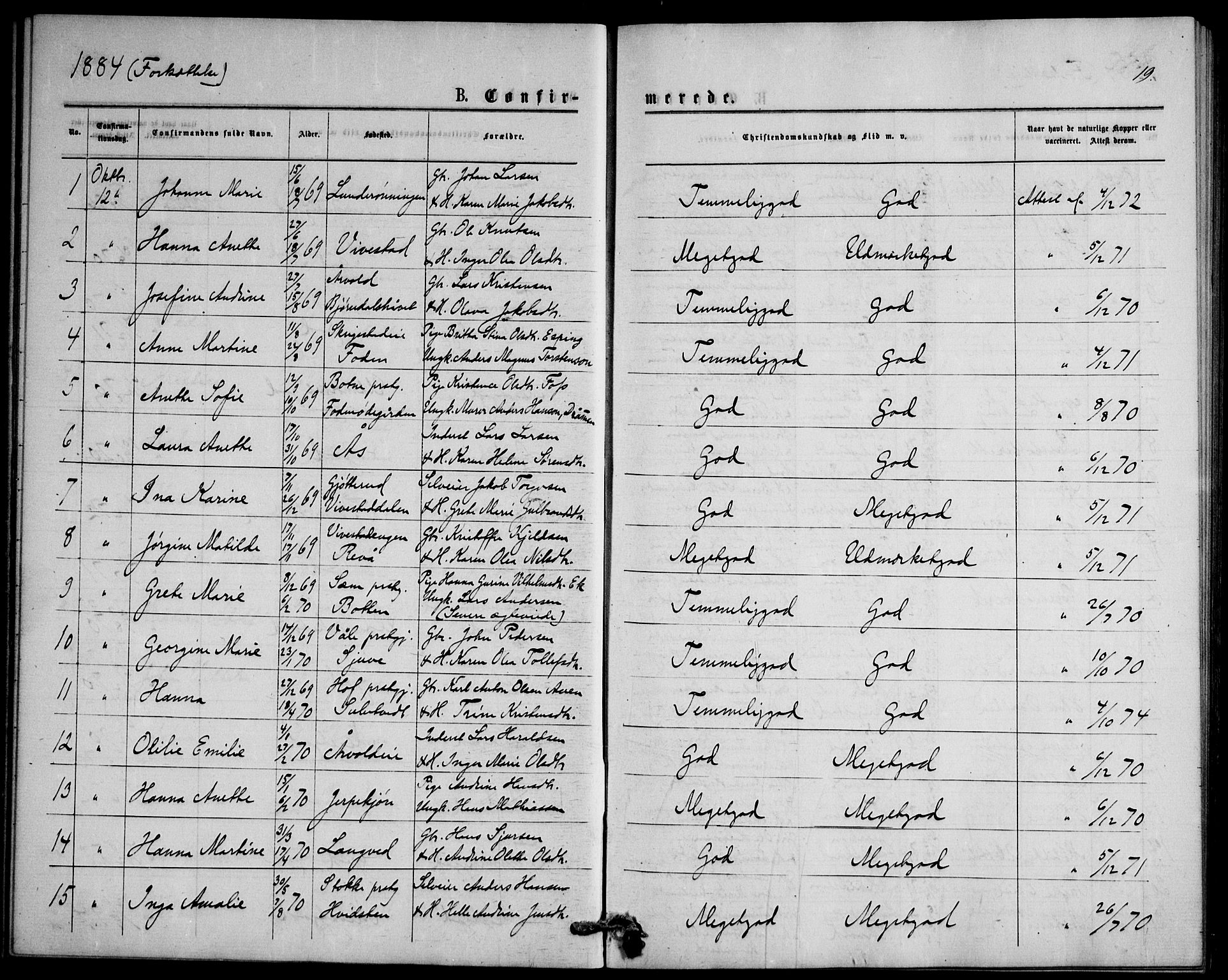 Ramnes kirkebøker, SAKO/A-314/F/Fd/L0002: Curate's parish register no. IV 2, 1872-1886, p. 19
