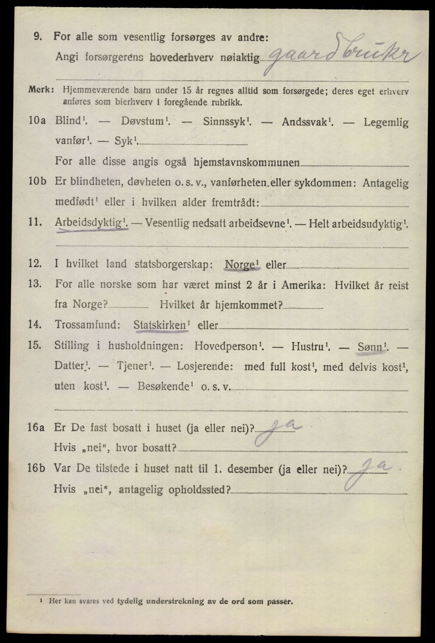 SAKO, 1920 census for Nes (Buskerud), 1920, p. 1021