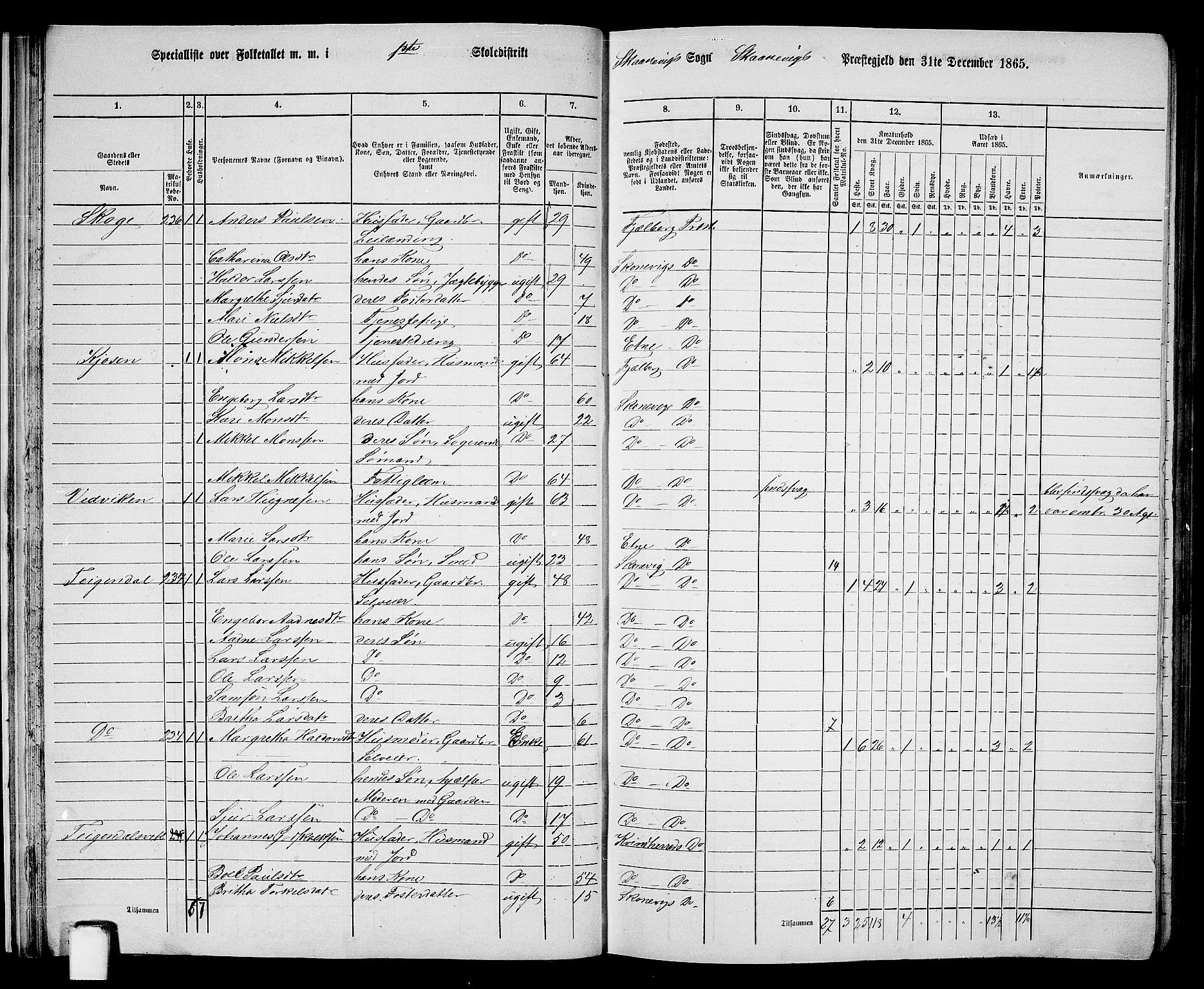 RA, 1865 census for Skånevik, 1865, p. 25