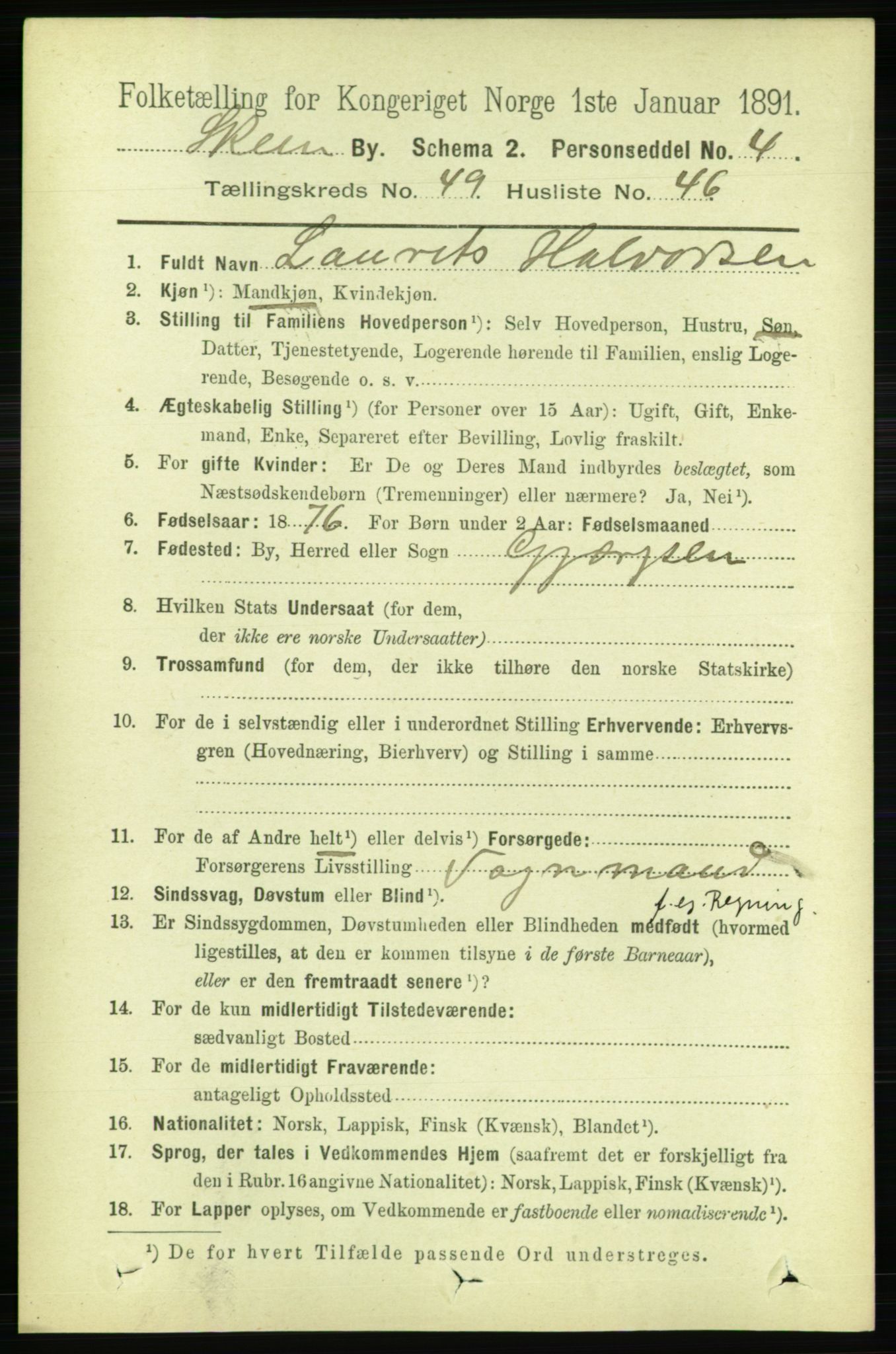 RA, 1891 census for 0806 Skien, 1891, p. 10725