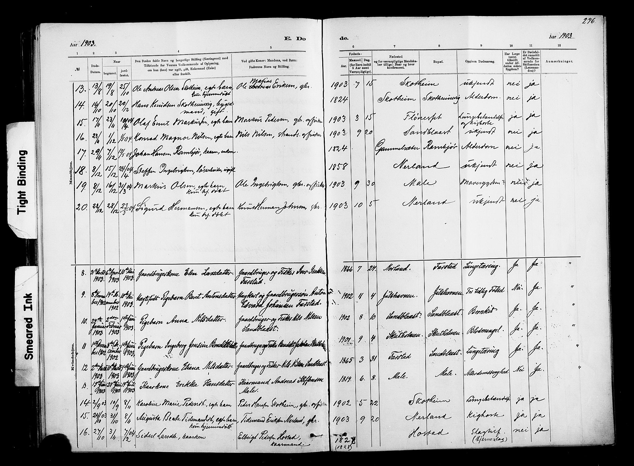 Ministerialprotokoller, klokkerbøker og fødselsregistre - Møre og Romsdal, AV/SAT-A-1454/567/L0778: Parish register (official) no. 567A01, 1881-1903, p. 276