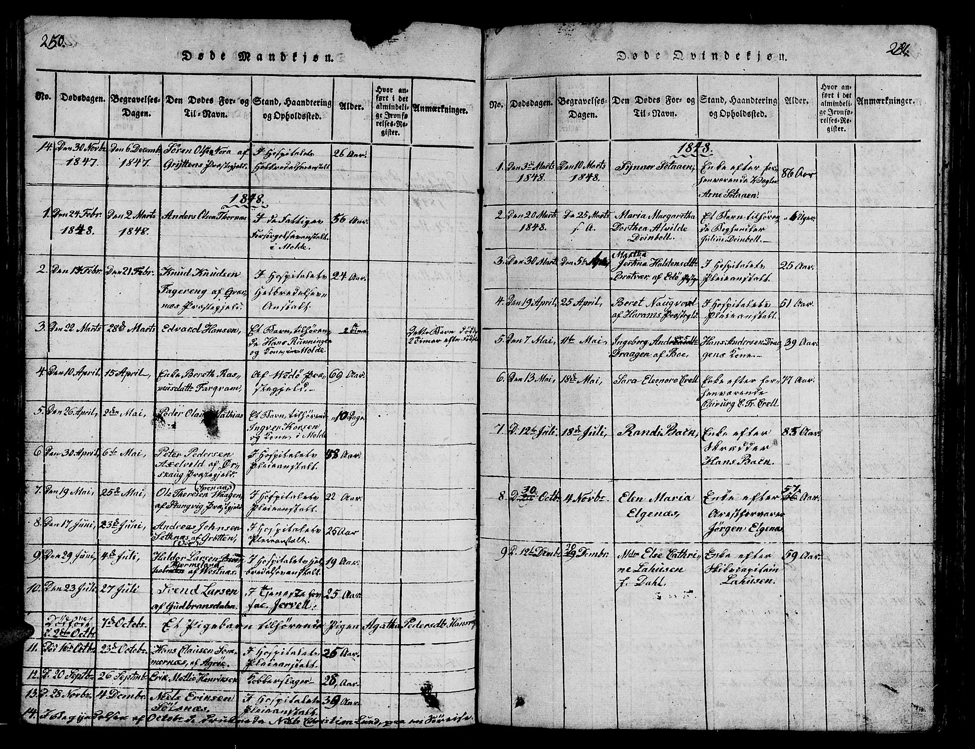 Ministerialprotokoller, klokkerbøker og fødselsregistre - Møre og Romsdal, AV/SAT-A-1454/558/L0700: Parish register (copy) no. 558C01, 1818-1868, p. 250-251