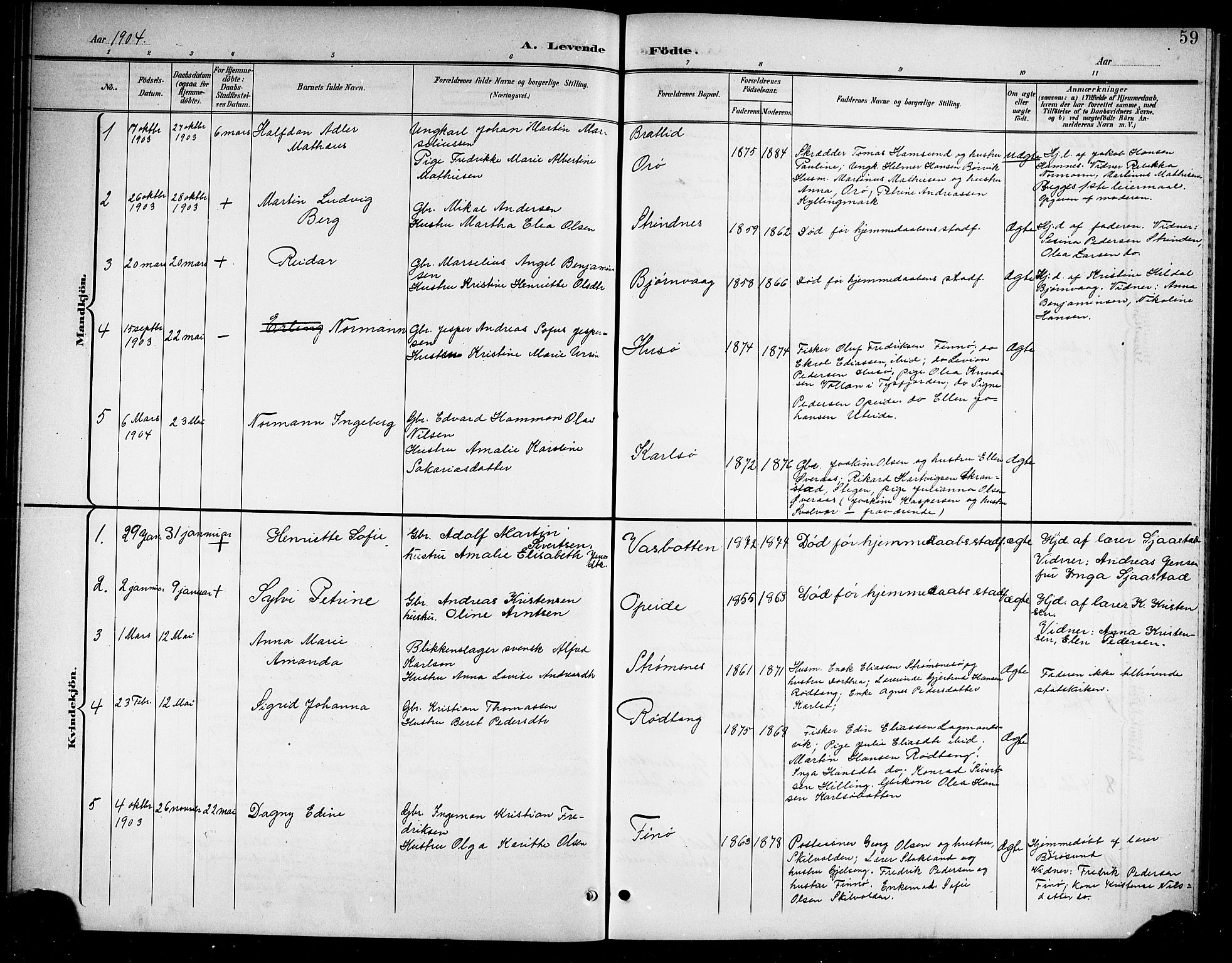 Ministerialprotokoller, klokkerbøker og fødselsregistre - Nordland, AV/SAT-A-1459/859/L0860: Parish register (copy) no. 859C06, 1899-1909, p. 59