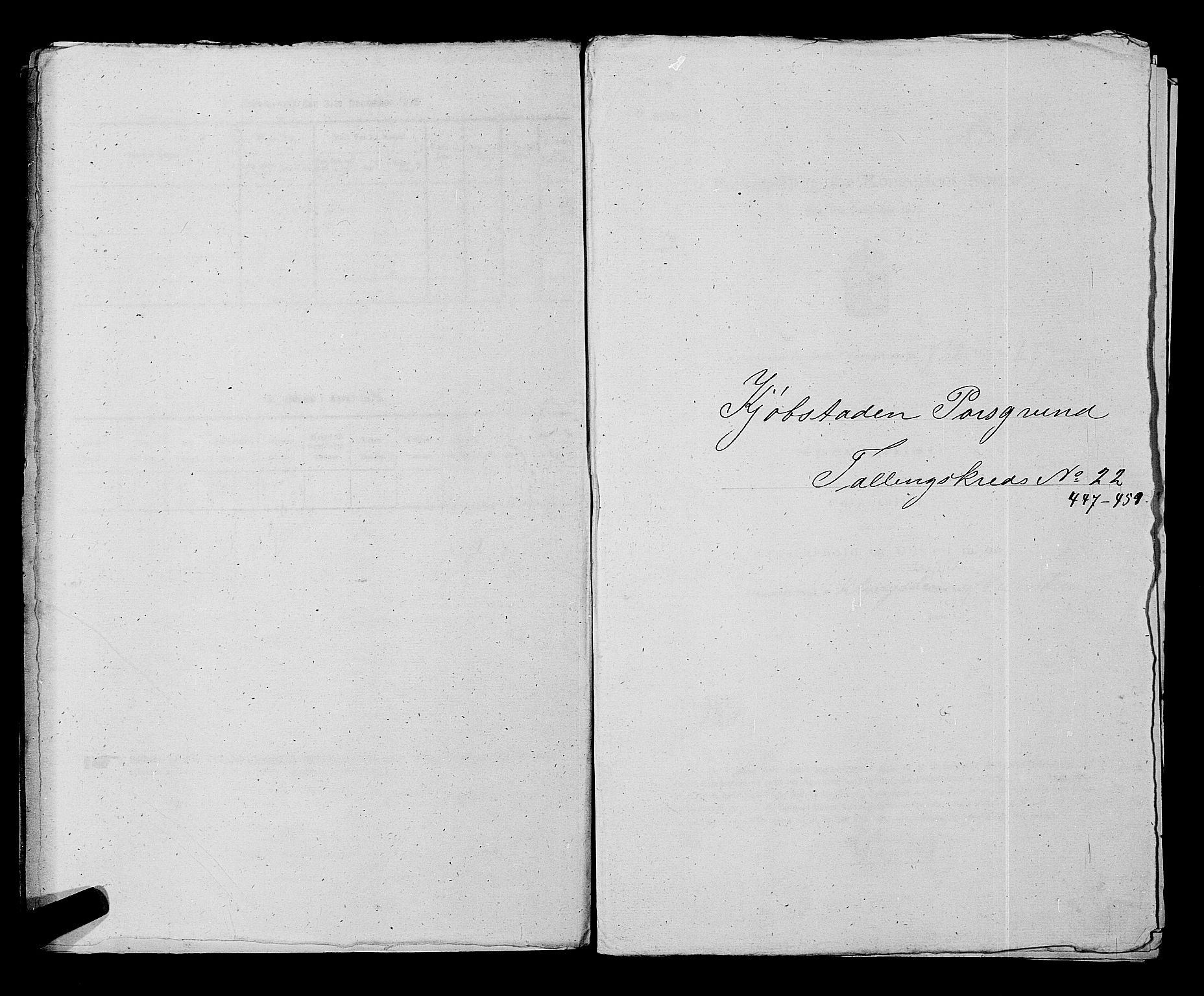 SAKO, 1875 census for 0805P Porsgrunn, 1875, p. 1002