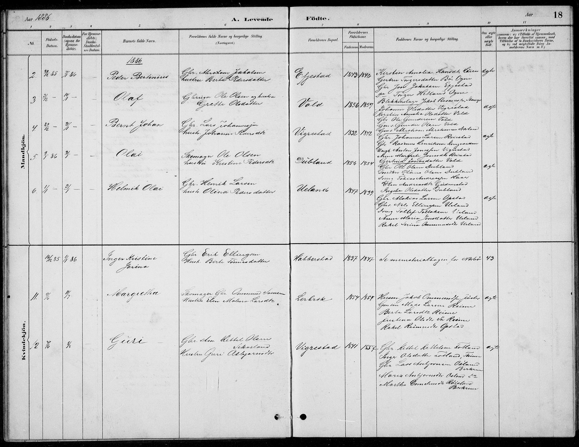 Hå sokneprestkontor, AV/SAST-A-101801/001/30BB/L0004: Parish register (copy) no. B 4, 1883-1899, p. 18