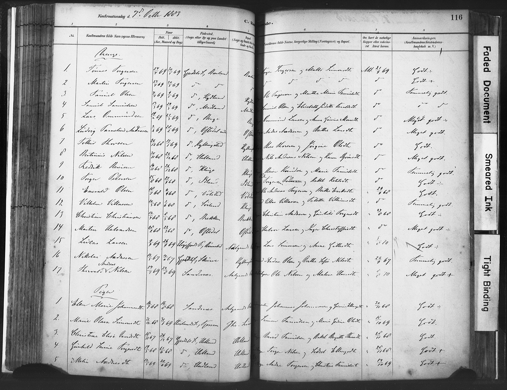 Lye sokneprestkontor, SAST/A-101794/001/30BA/L0010: Parish register (official) no. A 10, 1881-1896, p. 116