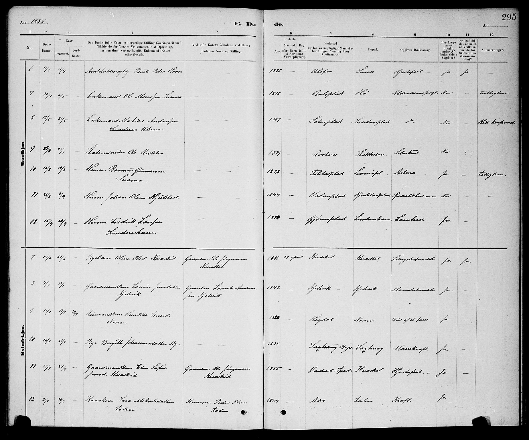 Ministerialprotokoller, klokkerbøker og fødselsregistre - Nord-Trøndelag, SAT/A-1458/730/L0301: Parish register (copy) no. 730C04, 1880-1897, p. 295