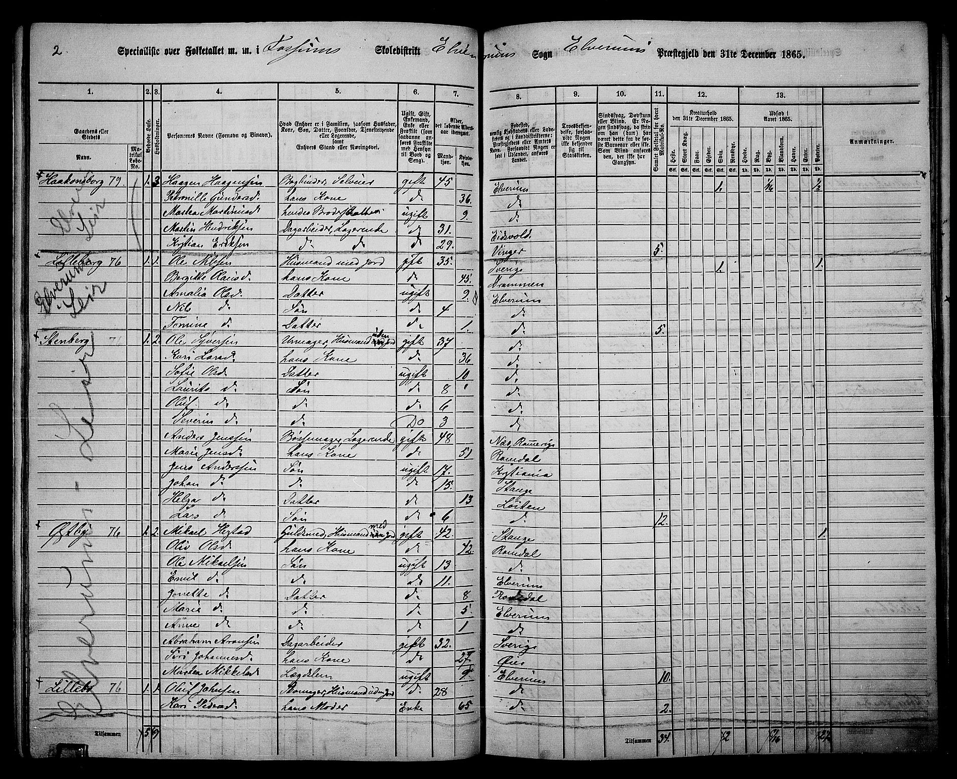 RA, 1865 census for Elverum, 1865, p. 101