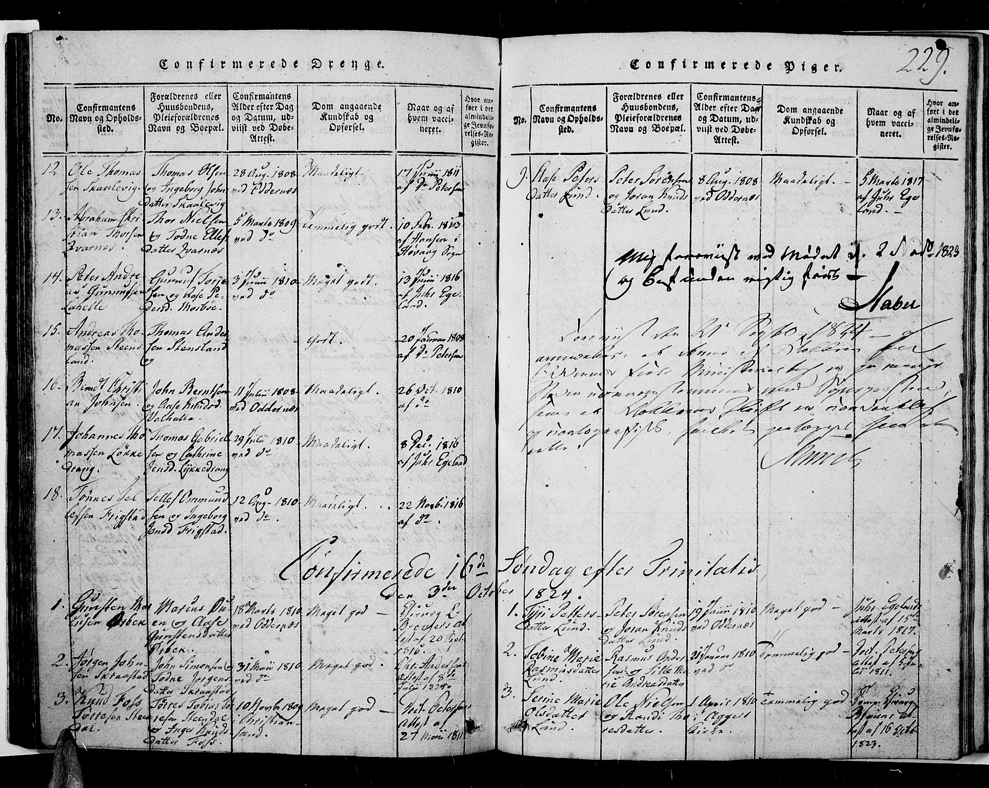 Oddernes sokneprestkontor, AV/SAK-1111-0033/F/Fb/Fba/L0003: Parish register (copy) no. B 3, 1820-1838, p. 229