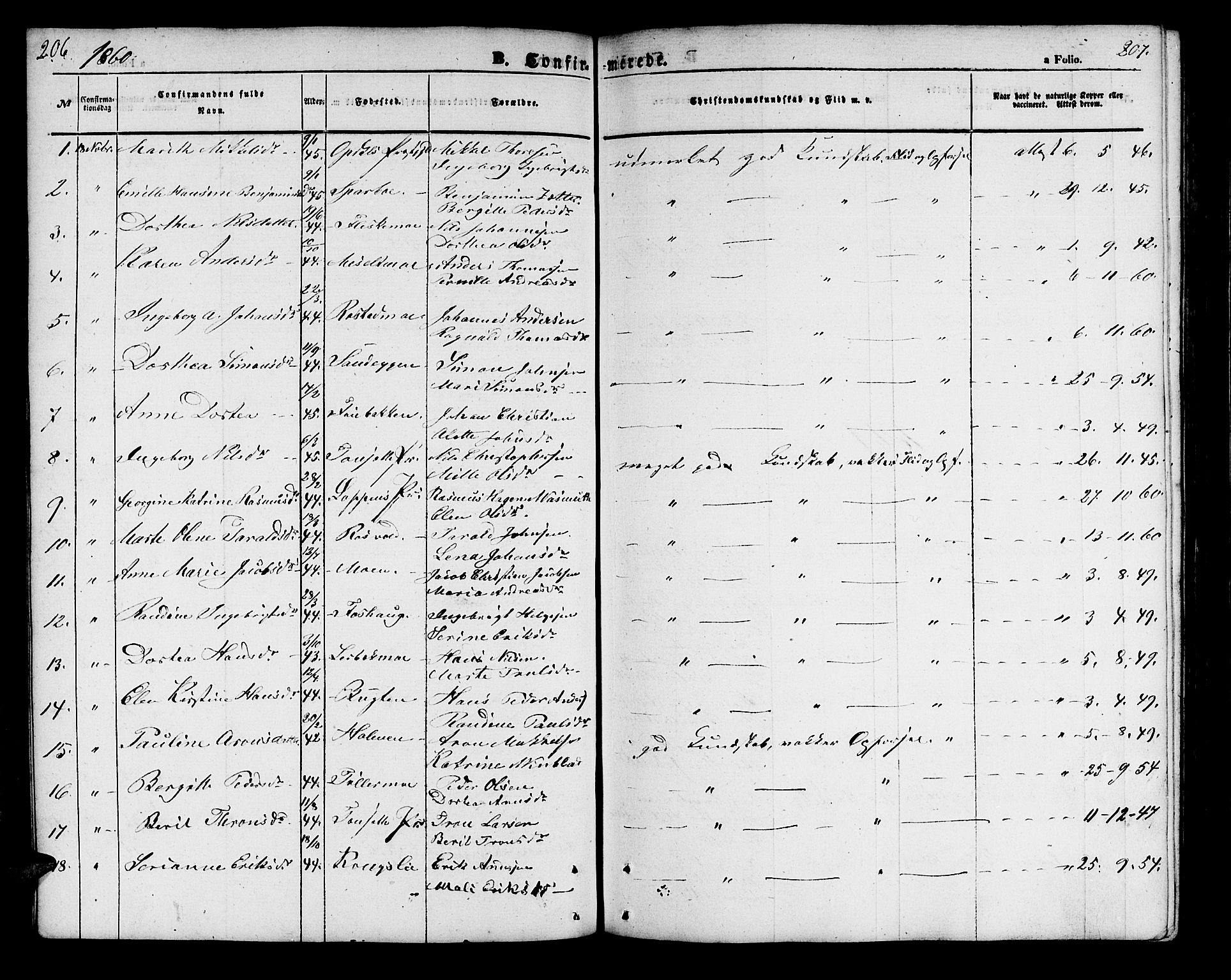 Målselv sokneprestembete, SATØ/S-1311/G/Ga/Gab/L0001klokker: Parish register (copy) no. 1, 1856-1866, p. 206-207