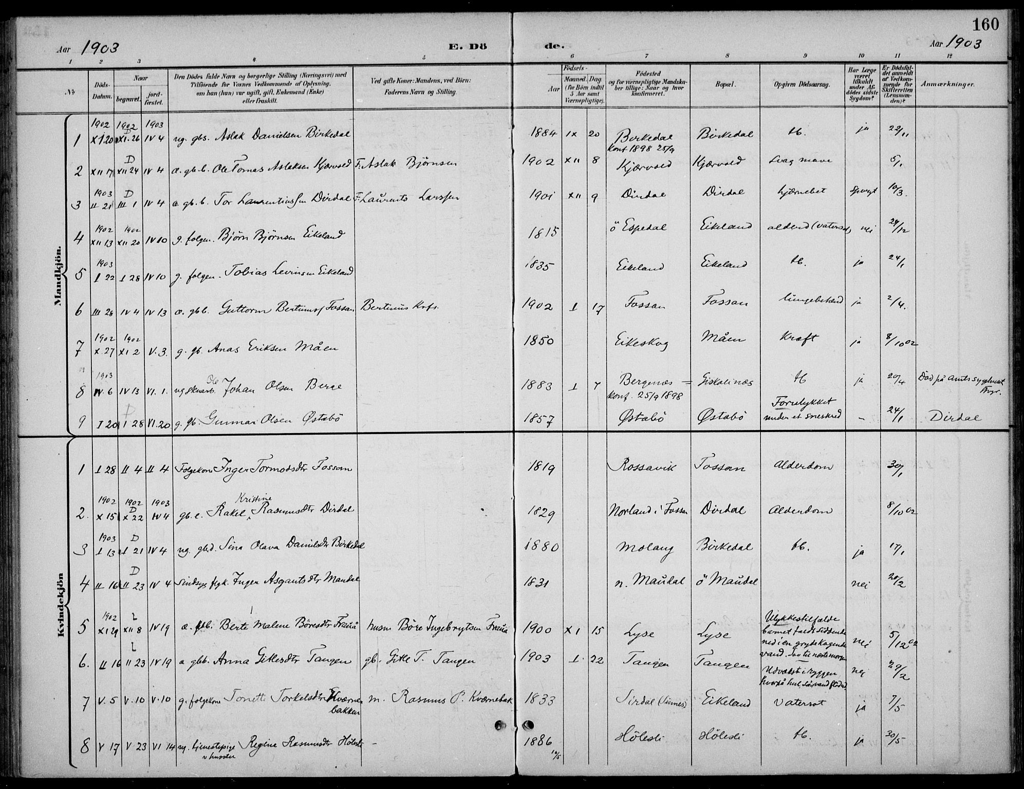 Høgsfjord sokneprestkontor, SAST/A-101624/H/Ha/Haa/L0007: Parish register (official) no. A 7, 1898-1917, p. 160