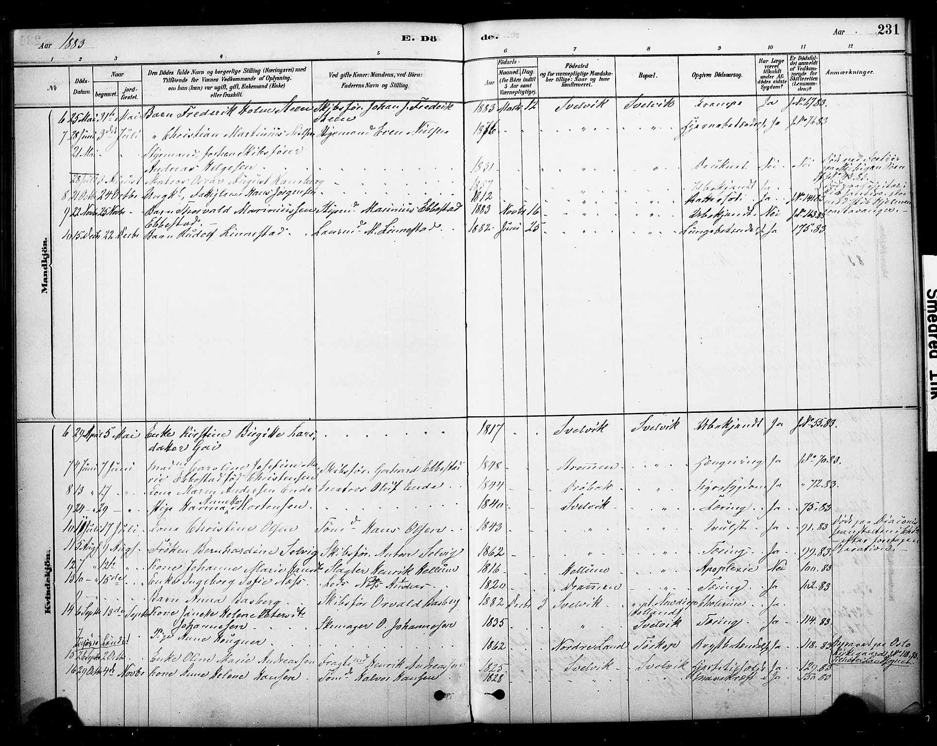Strømm kirkebøker, SAKO/A-322/F/Fb/L0001: Parish register (official) no. II 1, 1878-1899, p. 231