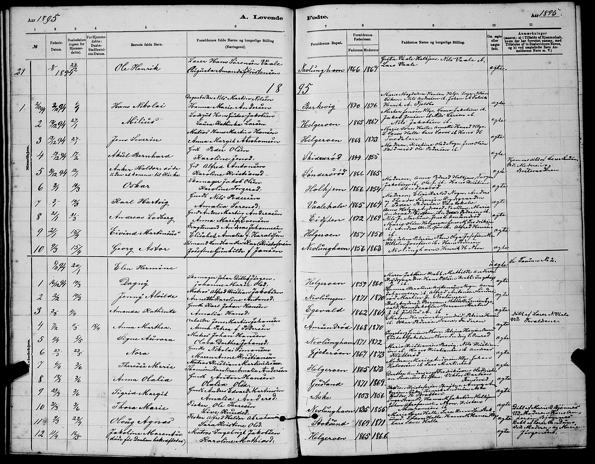 Brunlanes kirkebøker, AV/SAKO-A-342/G/Gb/L0002: Parish register (copy) no. II 2, 1878-1902