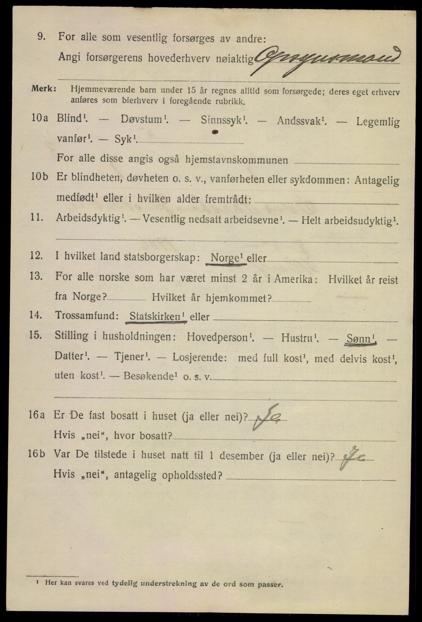 SAKO, 1920 census for Hønefoss, 1920, p. 5191