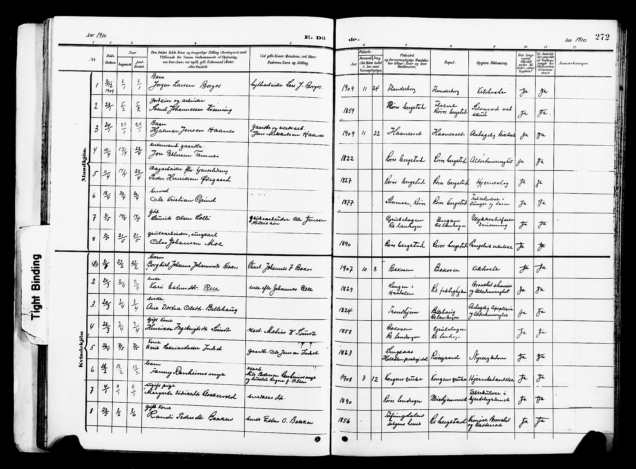 Ministerialprotokoller, klokkerbøker og fødselsregistre - Sør-Trøndelag, SAT/A-1456/681/L0942: Parish register (copy) no. 681C06, 1906-1925, p. 272