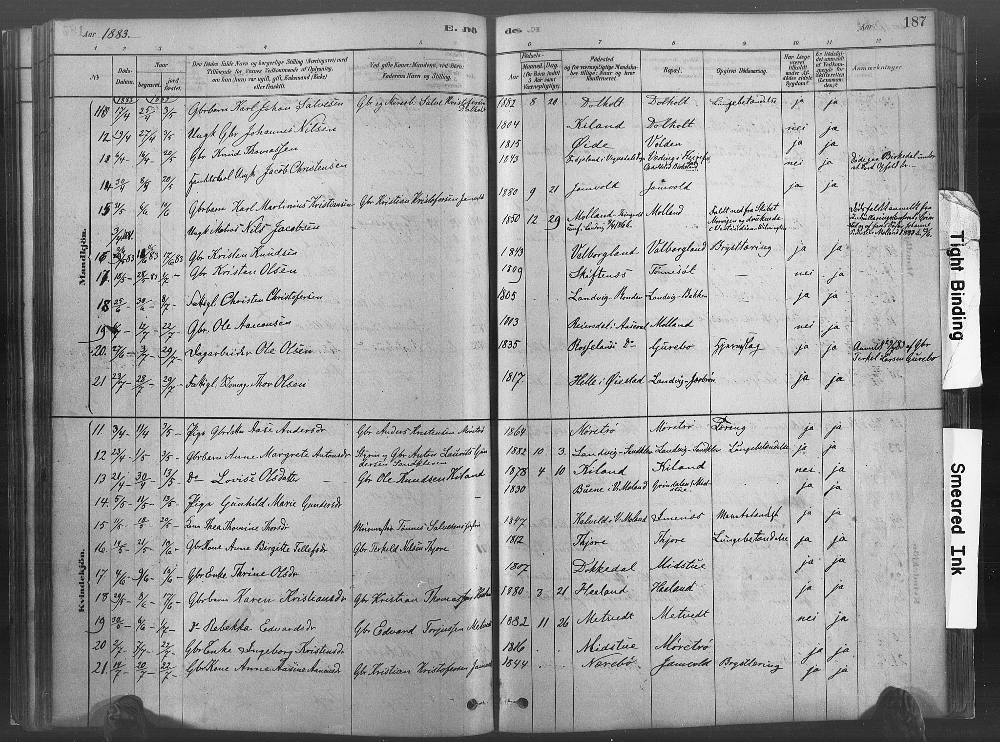 Hommedal sokneprestkontor, SAK/1111-0023/F/Fa/Fab/L0006: Parish register (official) no. A 6, 1878-1897, p. 187