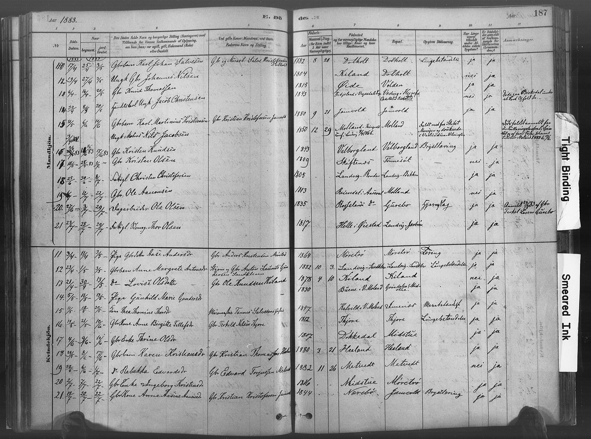 Hommedal sokneprestkontor, AV/SAK-1111-0023/F/Fa/Fab/L0006: Parish register (official) no. A 6, 1878-1897, p. 187