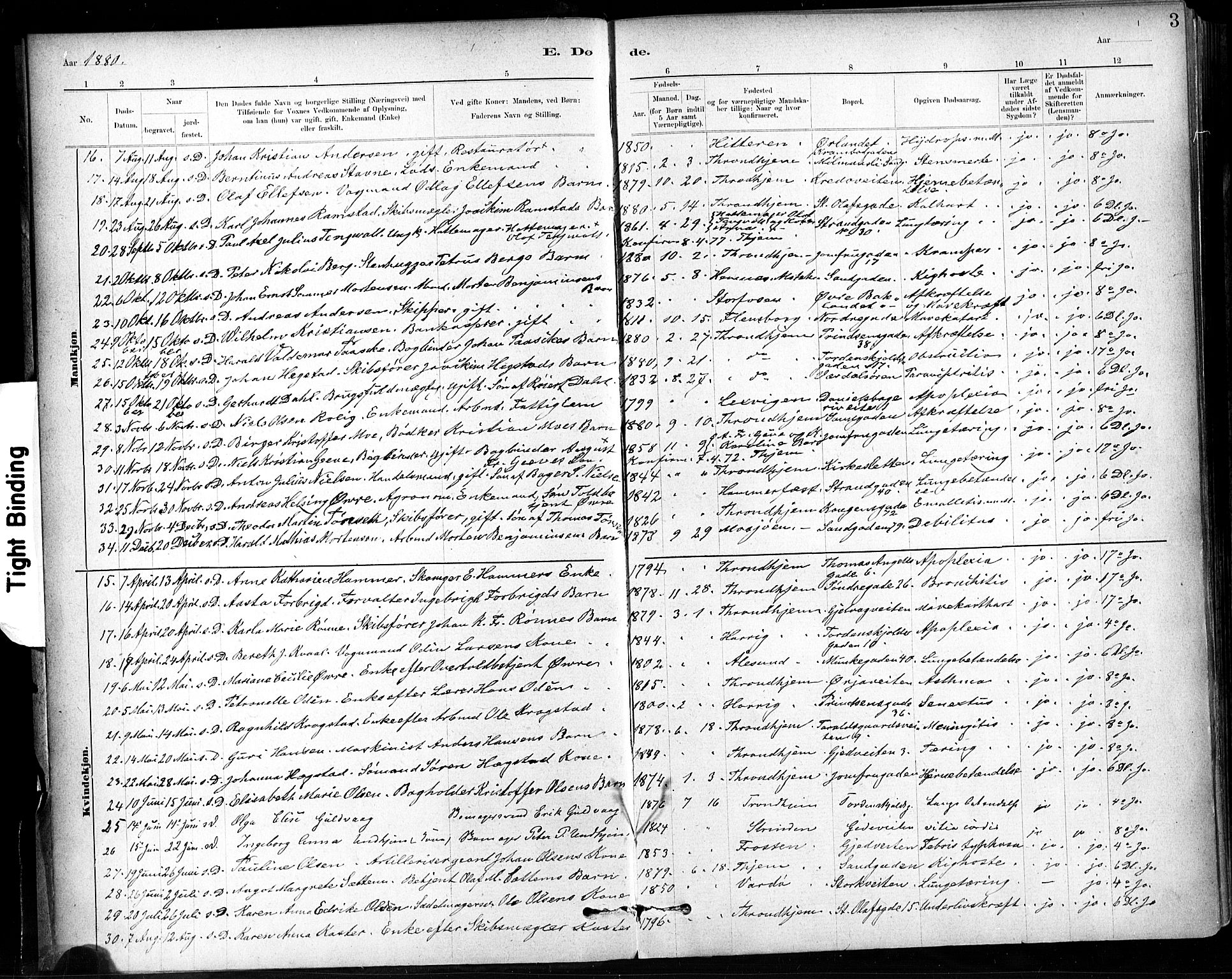 Ministerialprotokoller, klokkerbøker og fødselsregistre - Sør-Trøndelag, SAT/A-1456/602/L0120: Parish register (official) no. 602A18, 1880-1913, p. 3