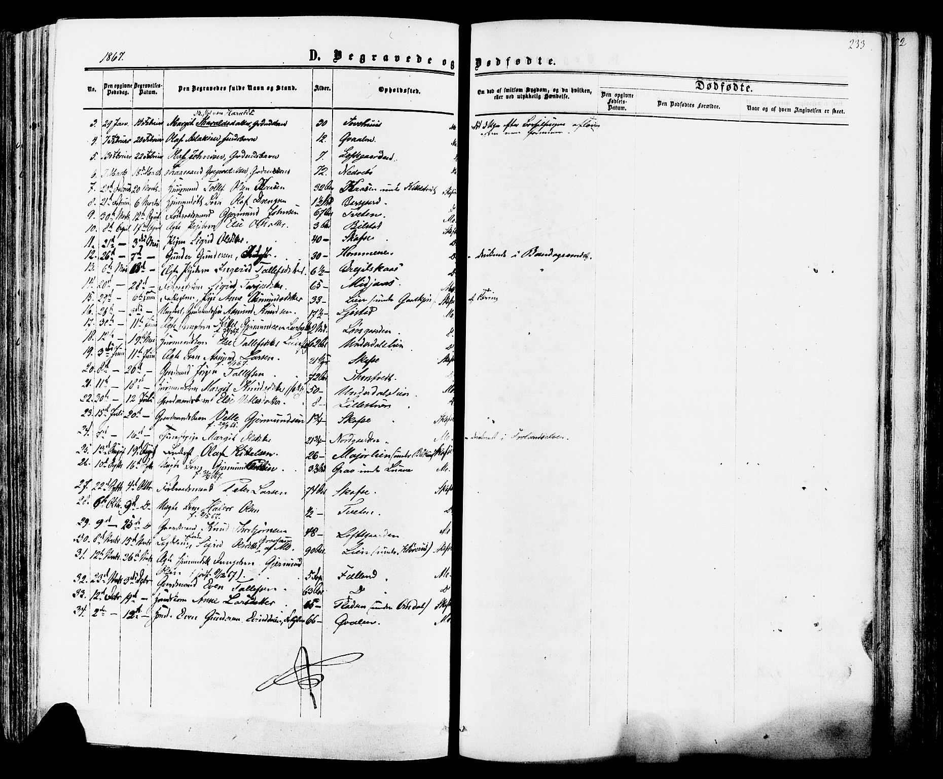 Mo kirkebøker, SAKO/A-286/F/Fa/L0006: Parish register (official) no. I 6, 1865-1885, p. 233