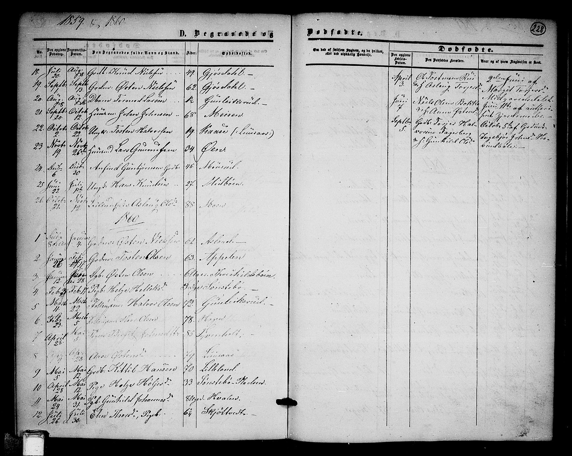 Tinn kirkebøker, AV/SAKO-A-308/G/Ga/L0002: Parish register (copy) no. I 2, 1851-1883, p. 228