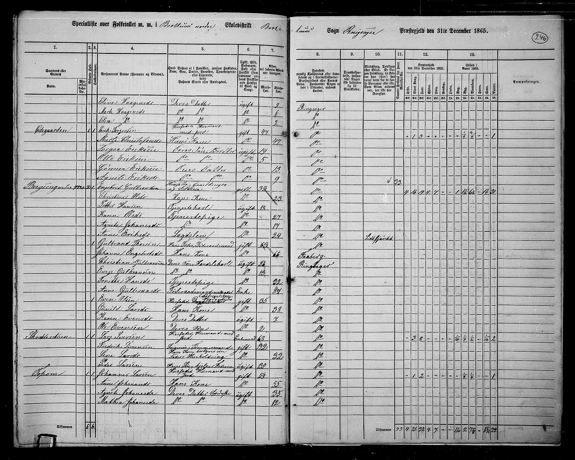 RA, 1865 census for Ringsaker, 1865, p. 480