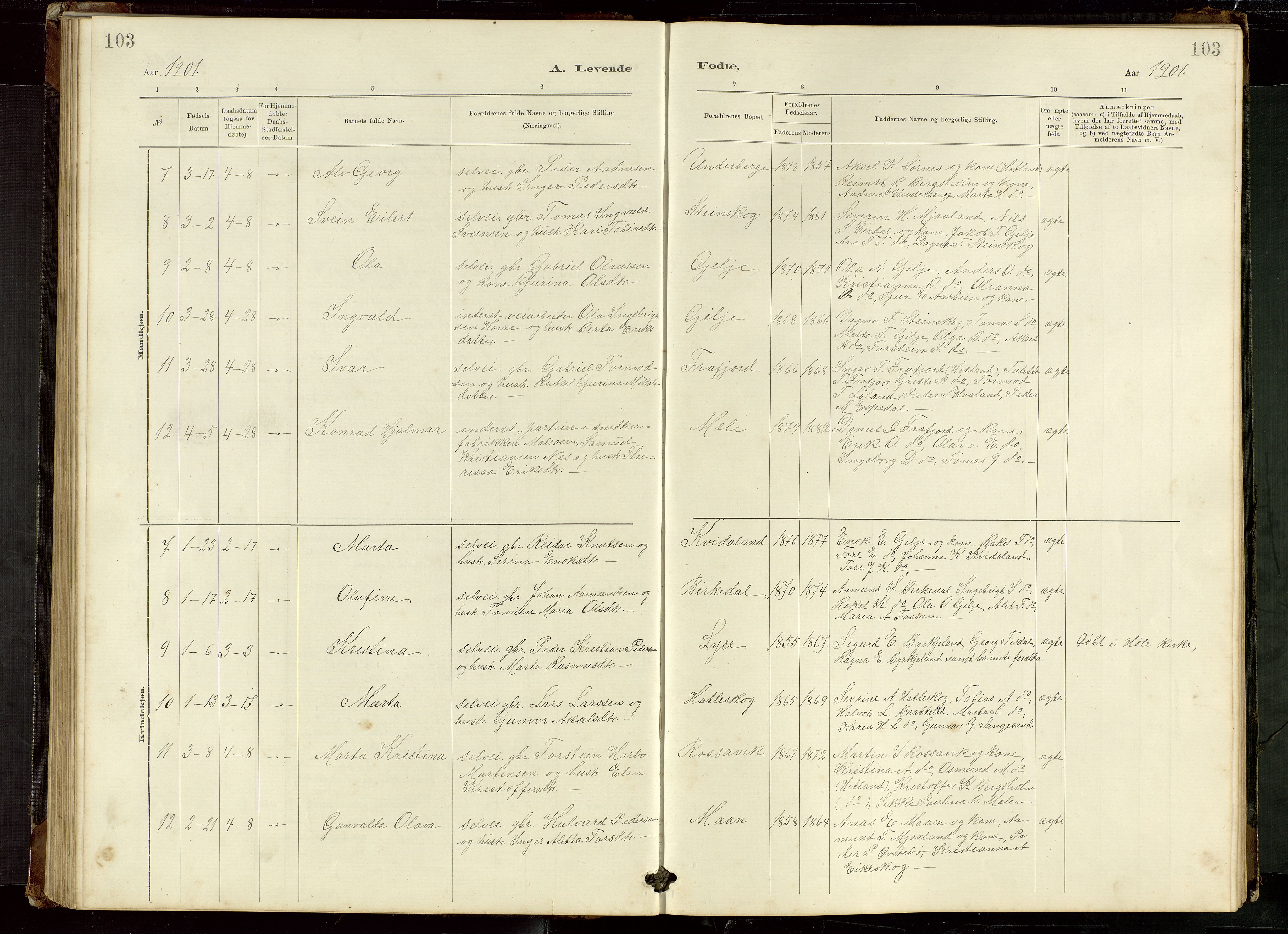 Høgsfjord sokneprestkontor, AV/SAST-A-101624/H/Ha/Hab/L0009: Parish register (copy) no. B 9, 1883-1920, p. 103