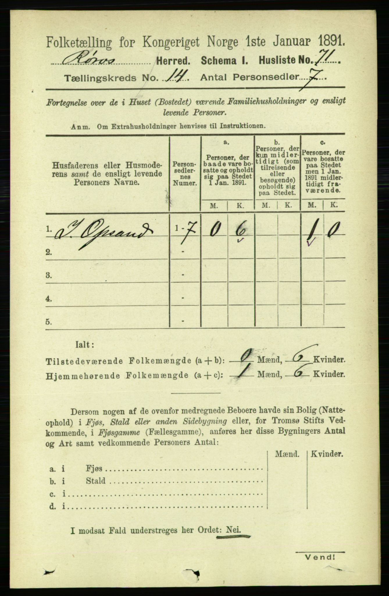 RA, 1891 census for 1640 Røros, 1891, p. 2873