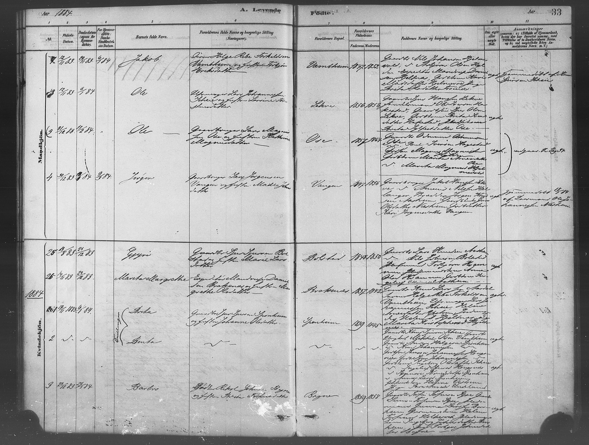 Ulvik sokneprestembete, SAB/A-78801/H/Haa: Parish register (official) no. B 1, 1878-1897, p. 33
