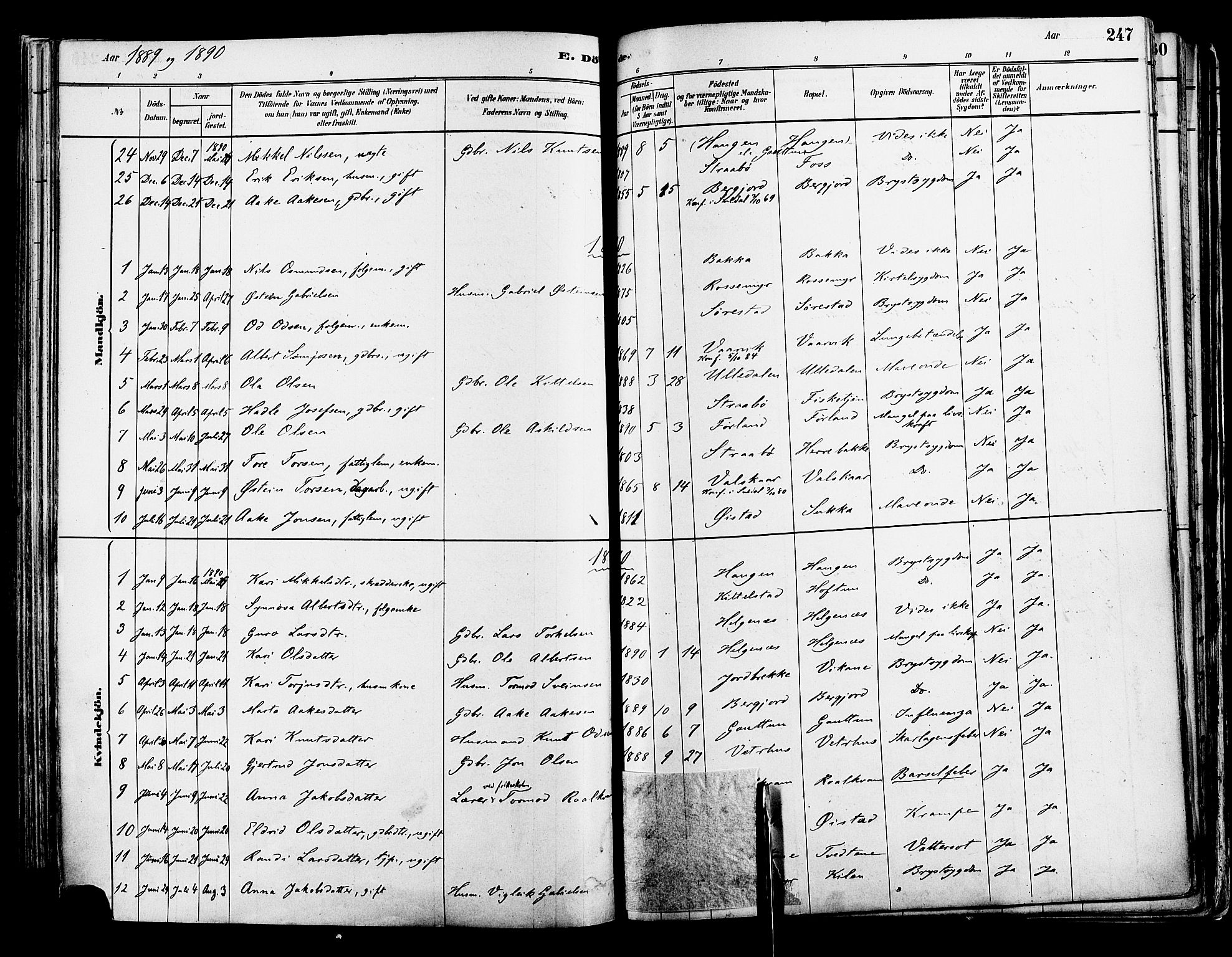 Suldal sokneprestkontor, AV/SAST-A-101845/01/IV/L0011: Parish register (official) no. A 11, 1878-1900, p. 247